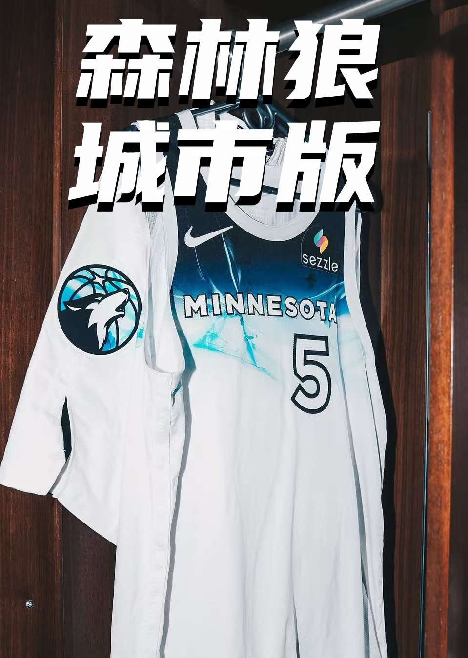 森林狼城市版：月夜下冰封的湖泊