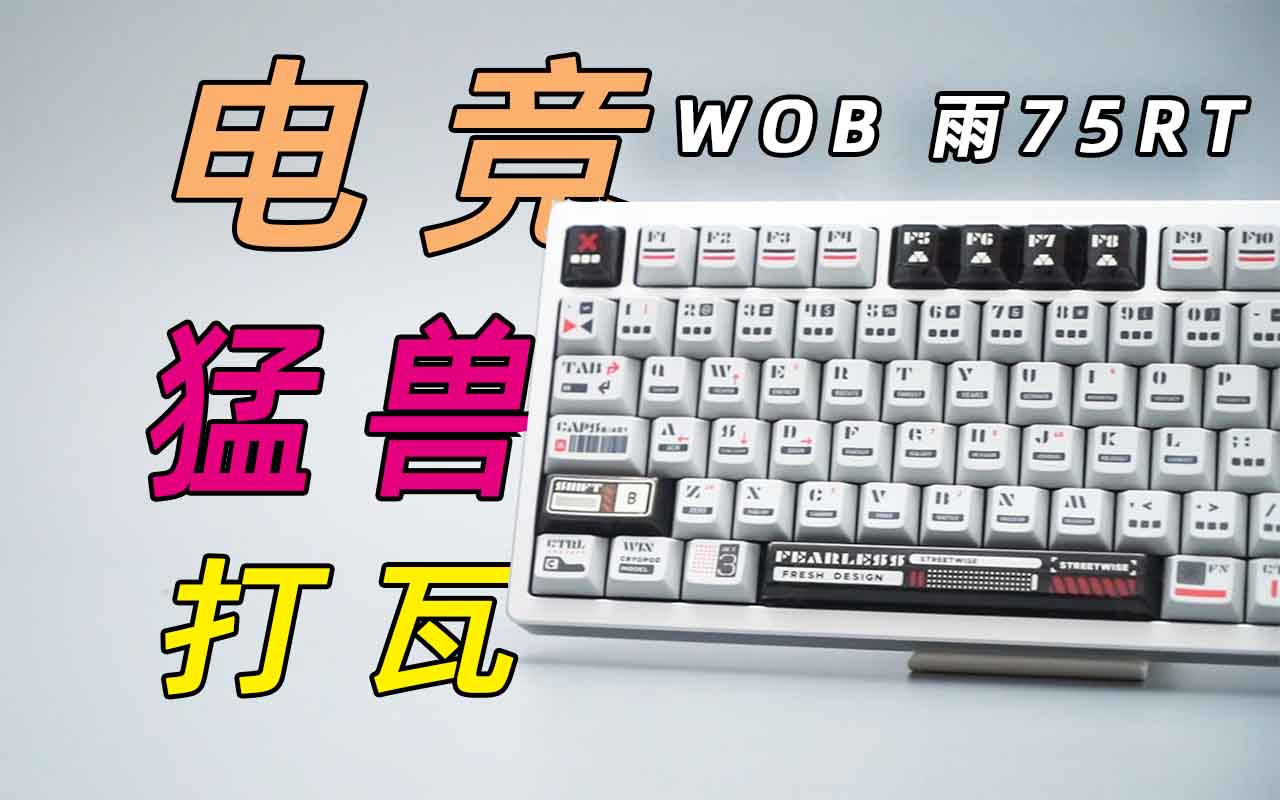 电竞猛兽很能打？铝坨坨磁轴键盘WOB雨75RT