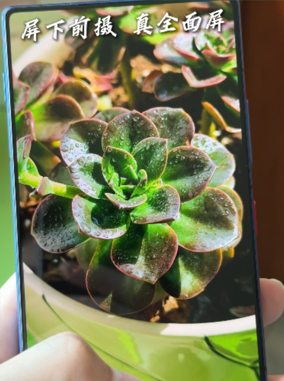 这样的影像表现兄弟们打几分？