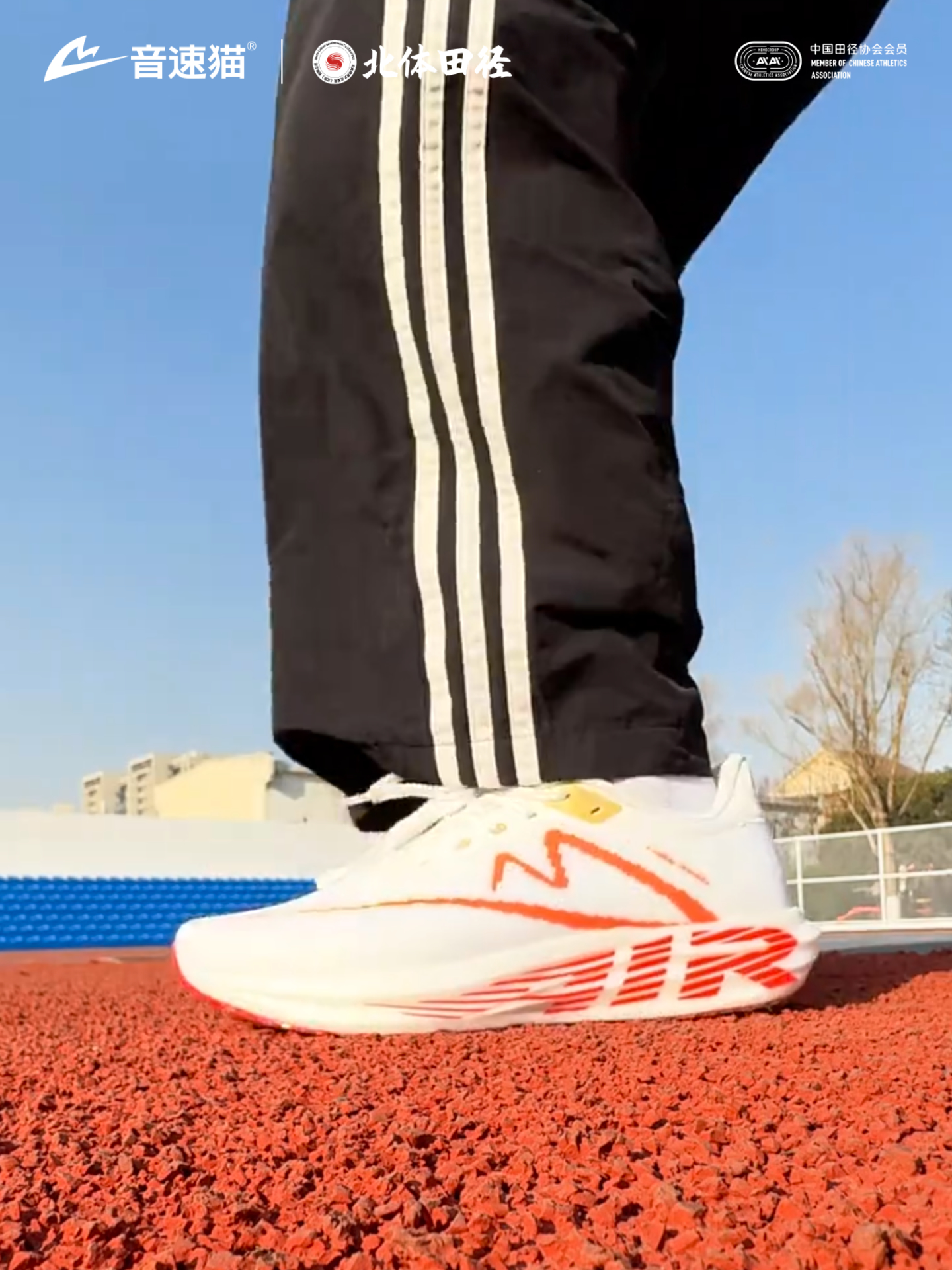 音速猫 ‼这是一双更弹，更适合体育生的训练鞋～