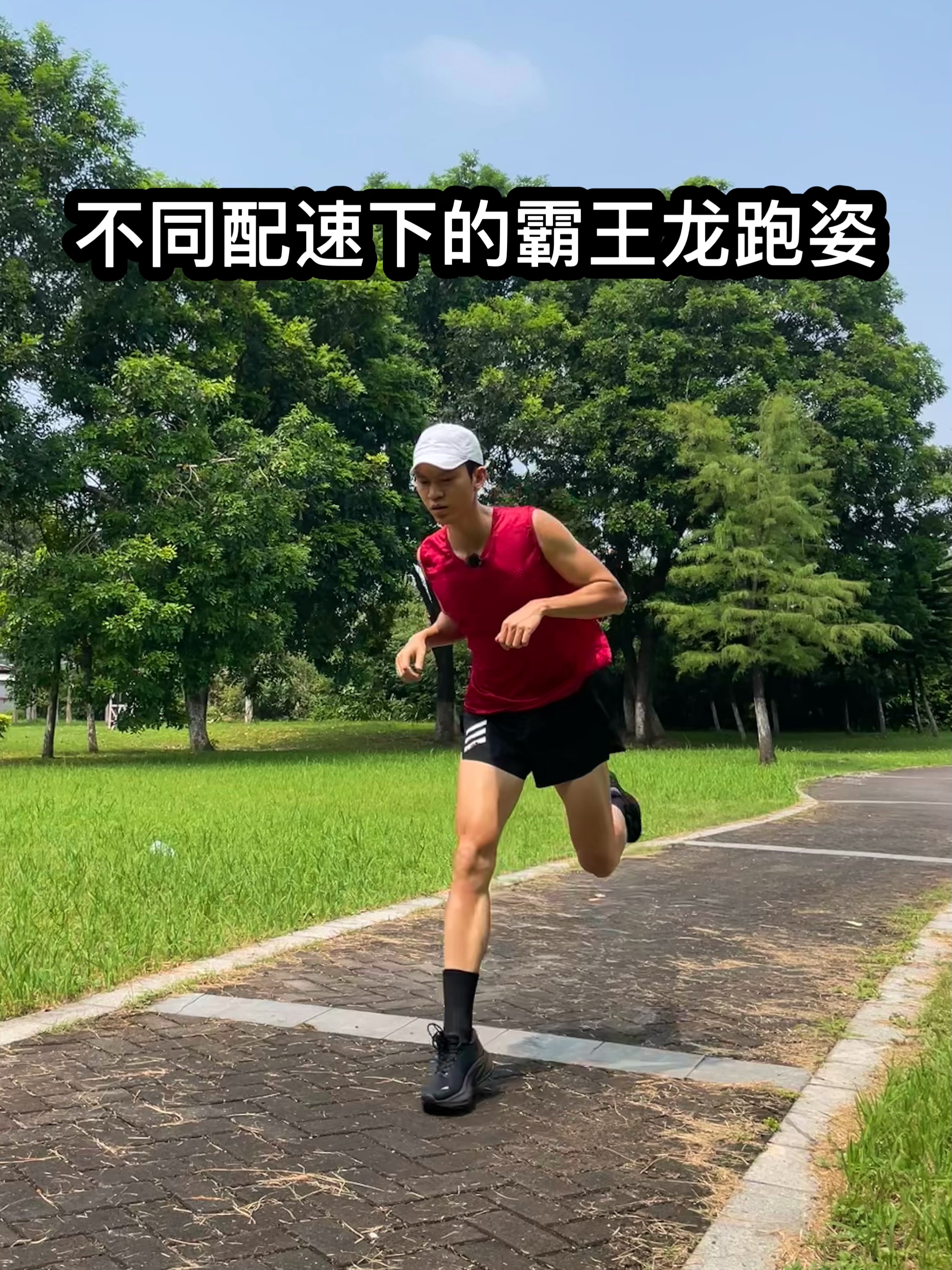 不同配速下的霸王龙跑姿