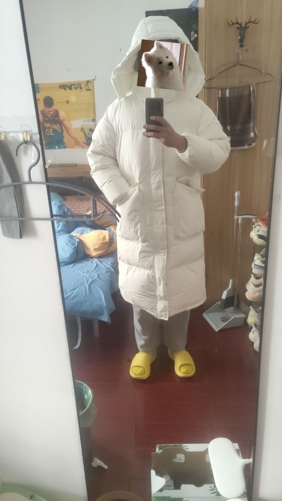 呕吼暖宝宝