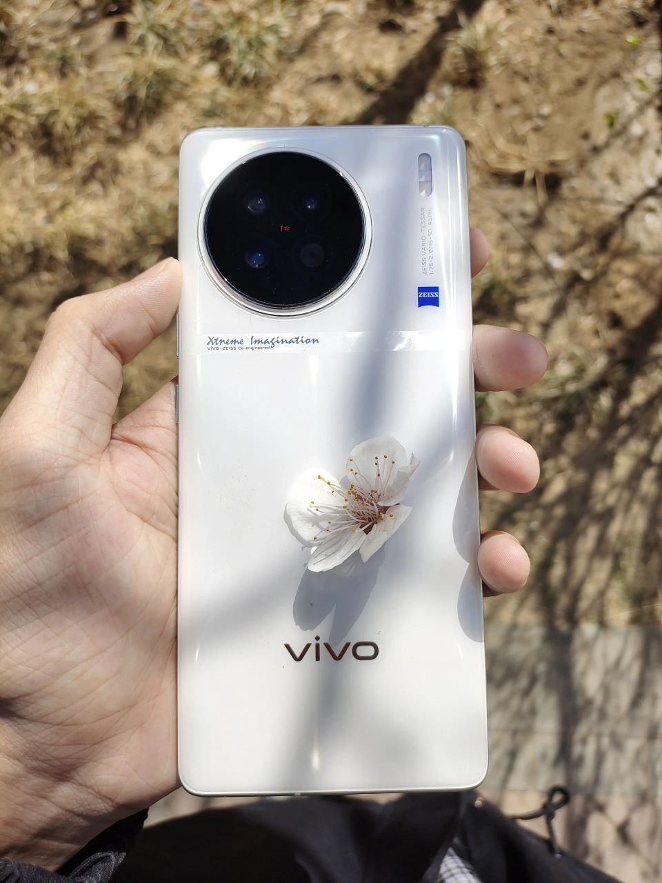 vivo拍照真的独具特色啊！