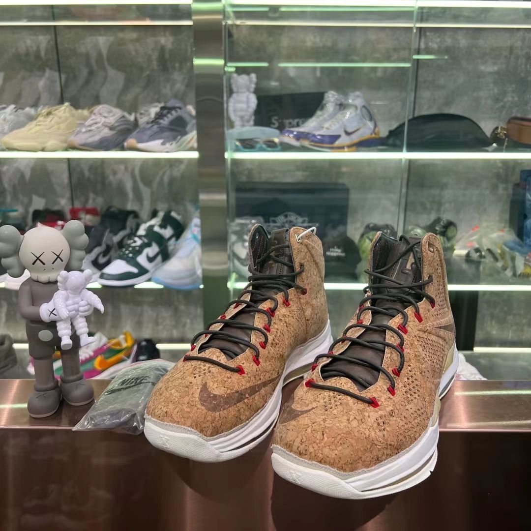 Nike LeBron 10