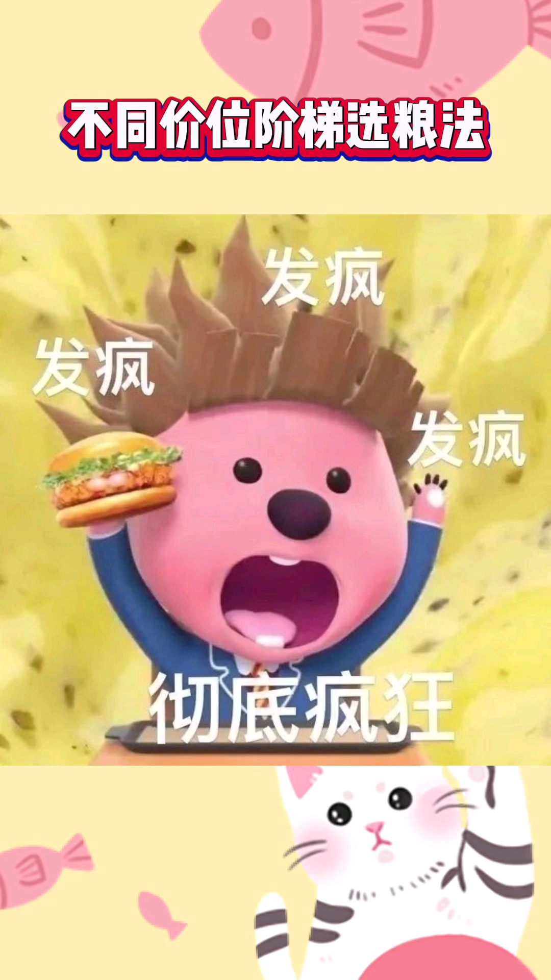 不同价位梯形选粮法！啊啊啊这种猫粮测评我是真的很需要！养猫人速来做好笔记！开始啦！