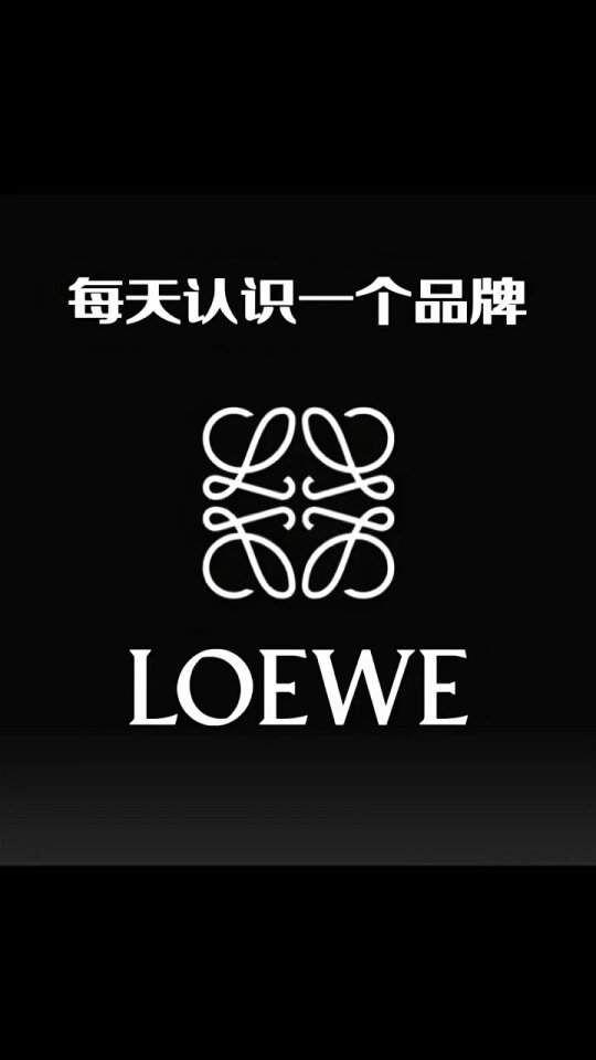 每天认识一个新品牌-LOEWE