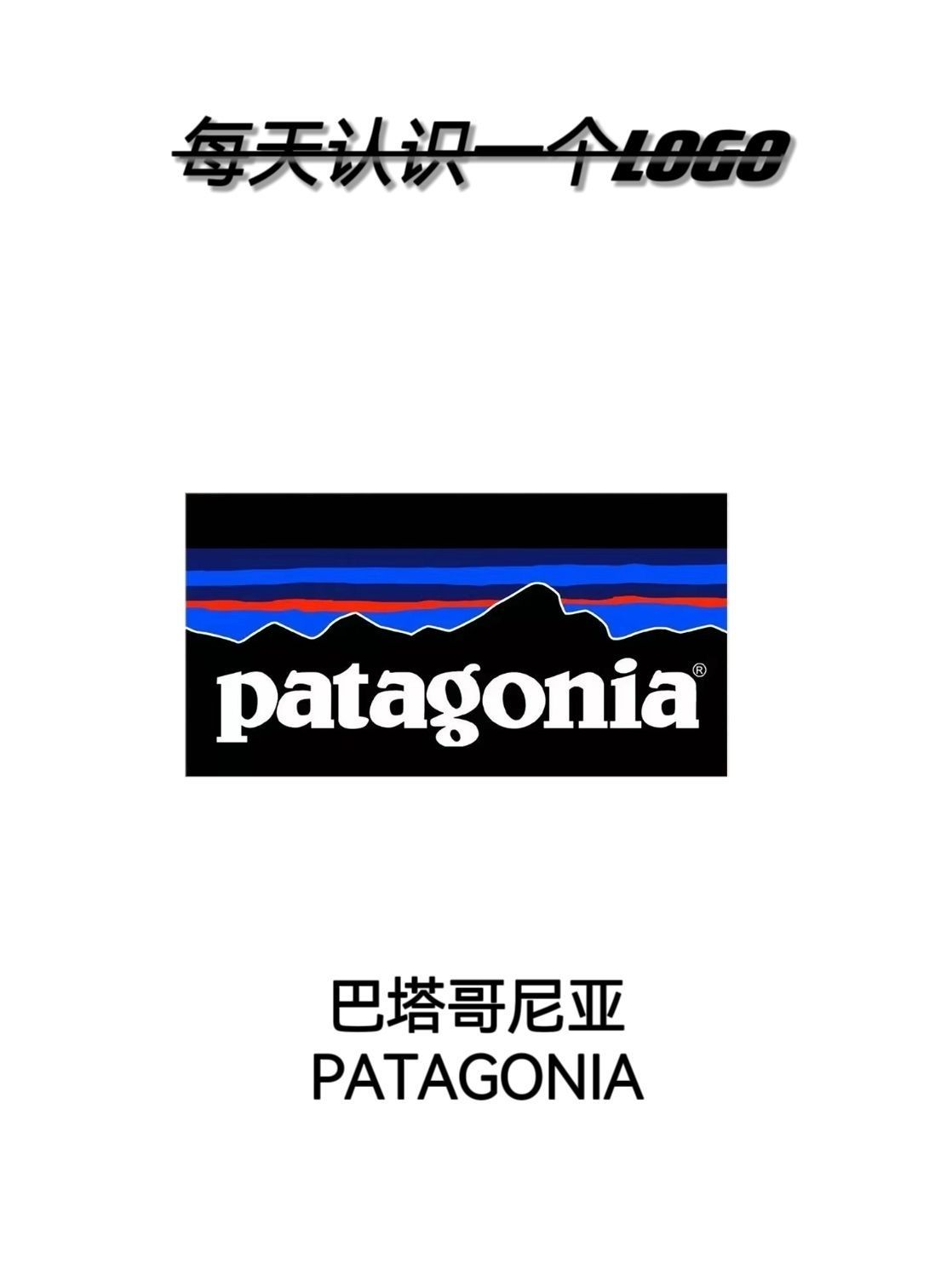 每天认识一个新LOGO (巴塔哥尼亚)