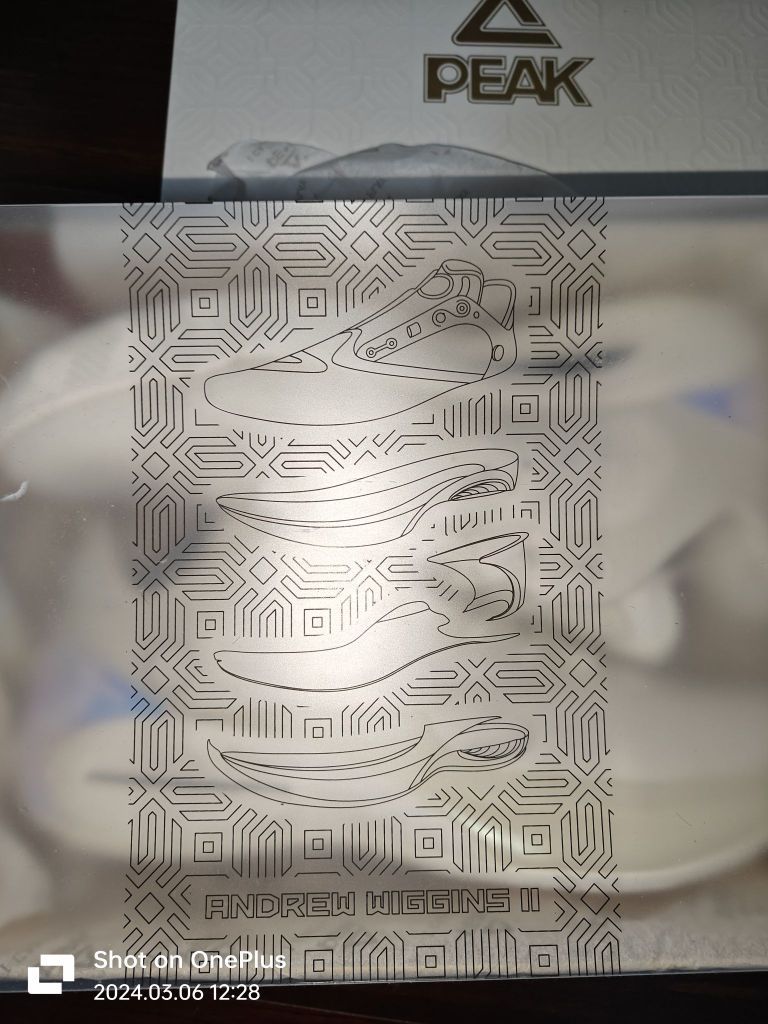 维金斯二代