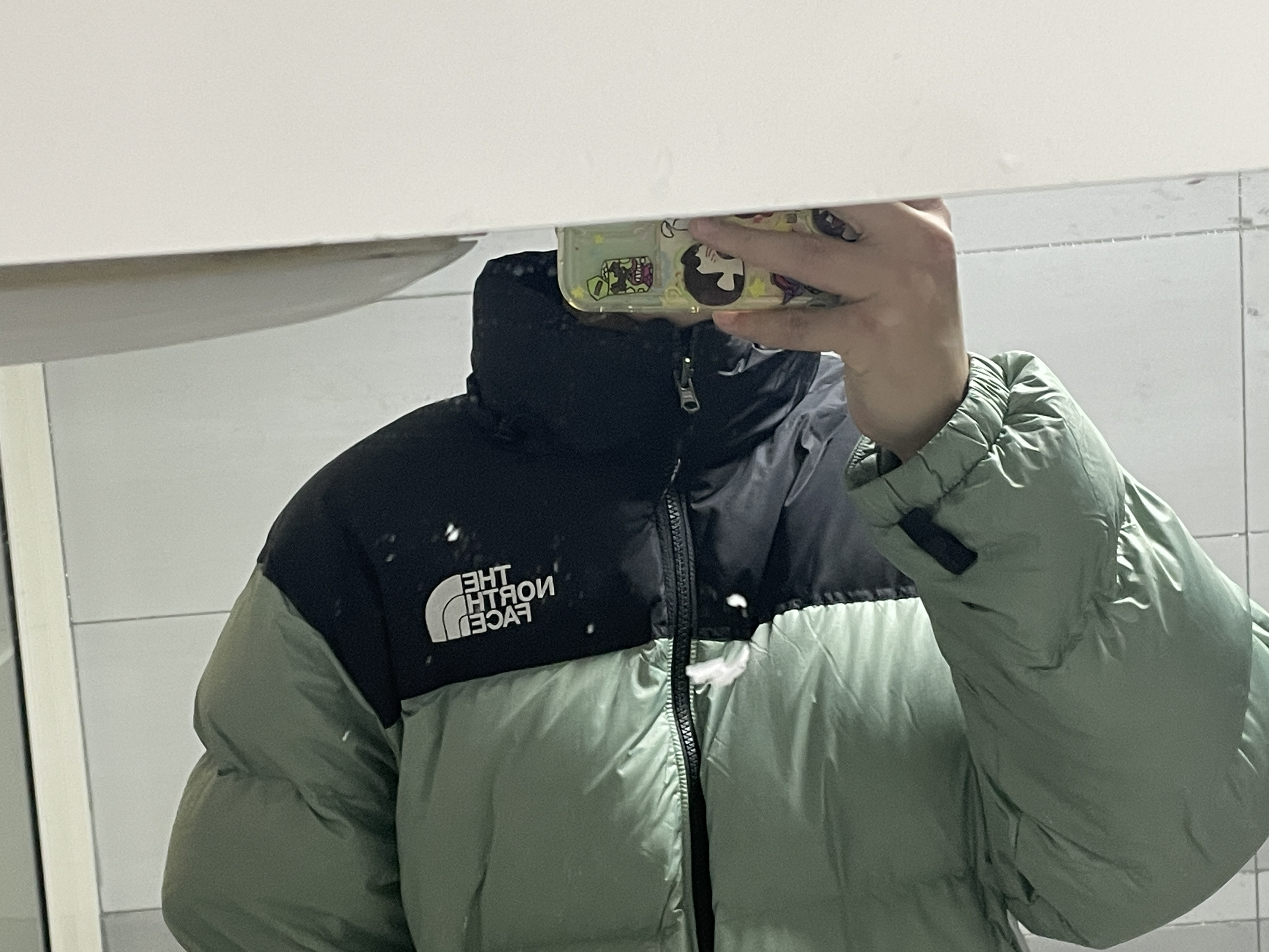 THE NORTH FACE
