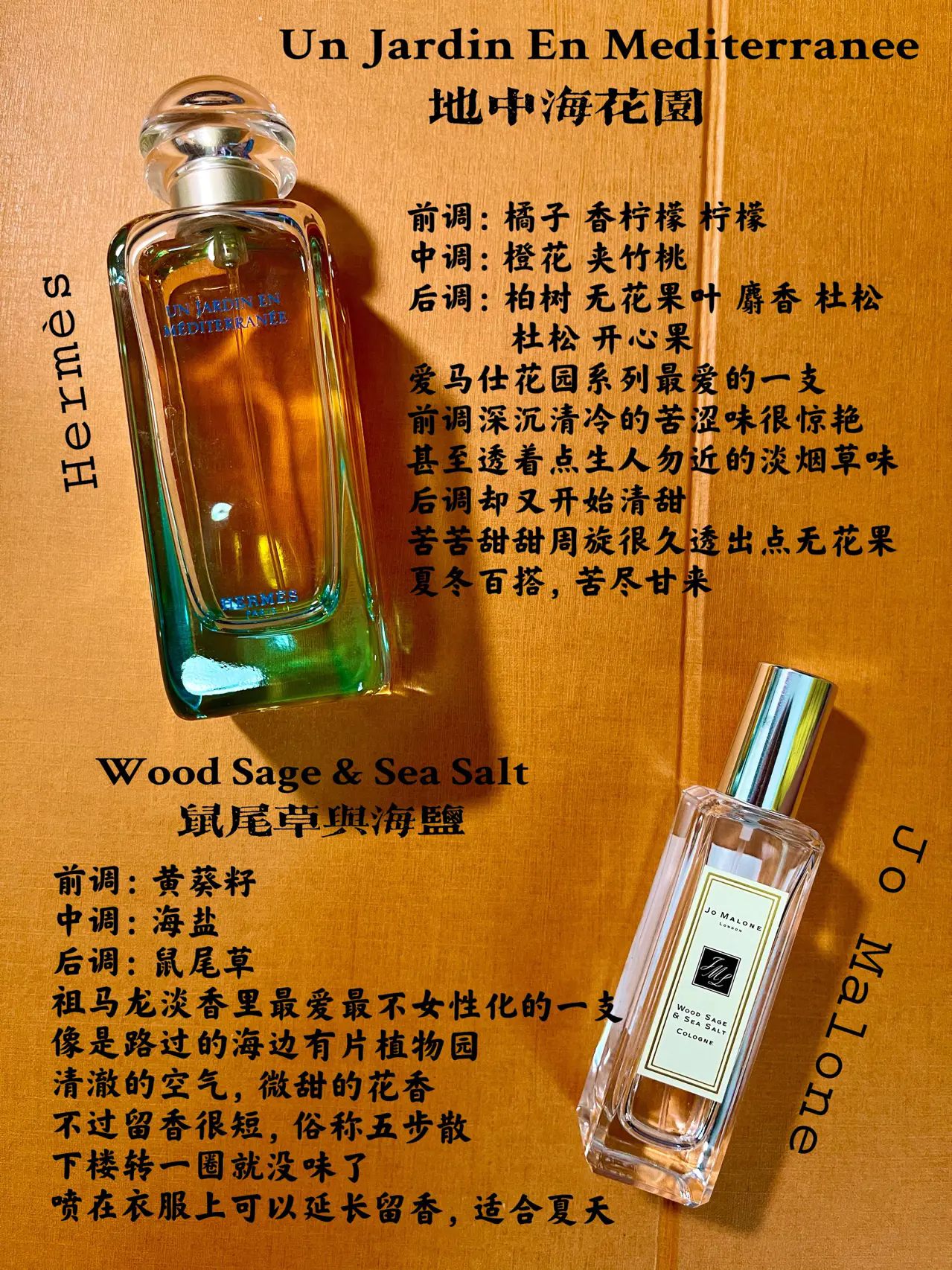 男香大推荐