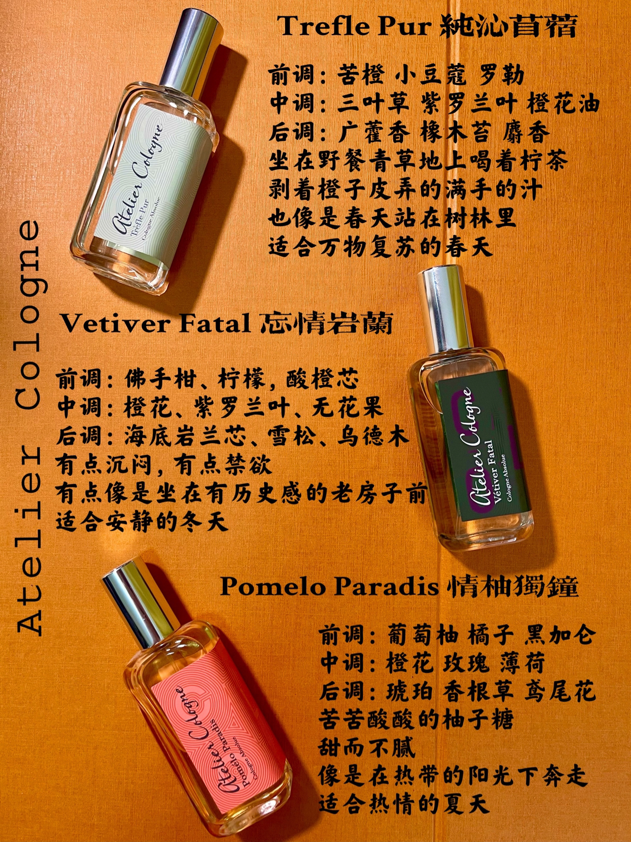 男香大推荐