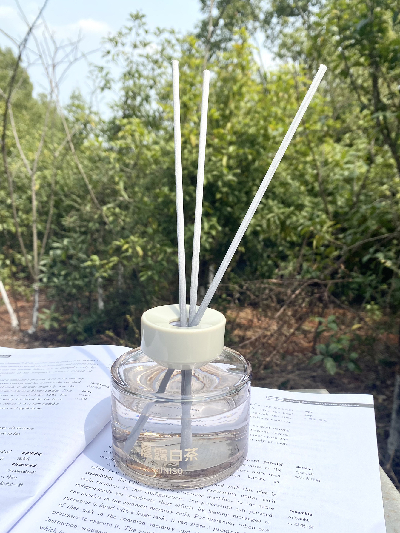 清晨的每缕阳光☀️都有机会重生…
