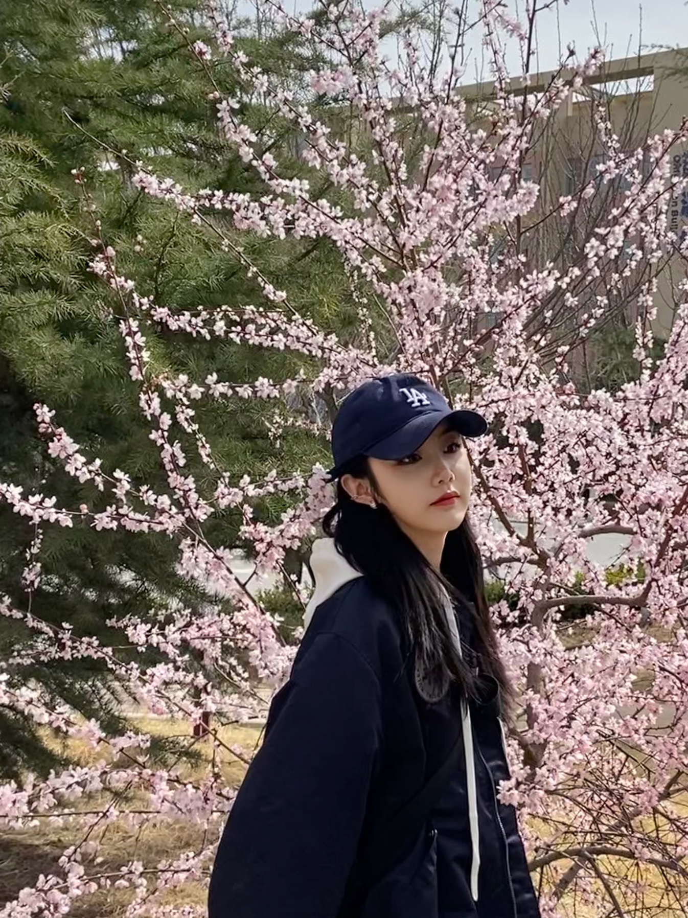 春有约 花不误