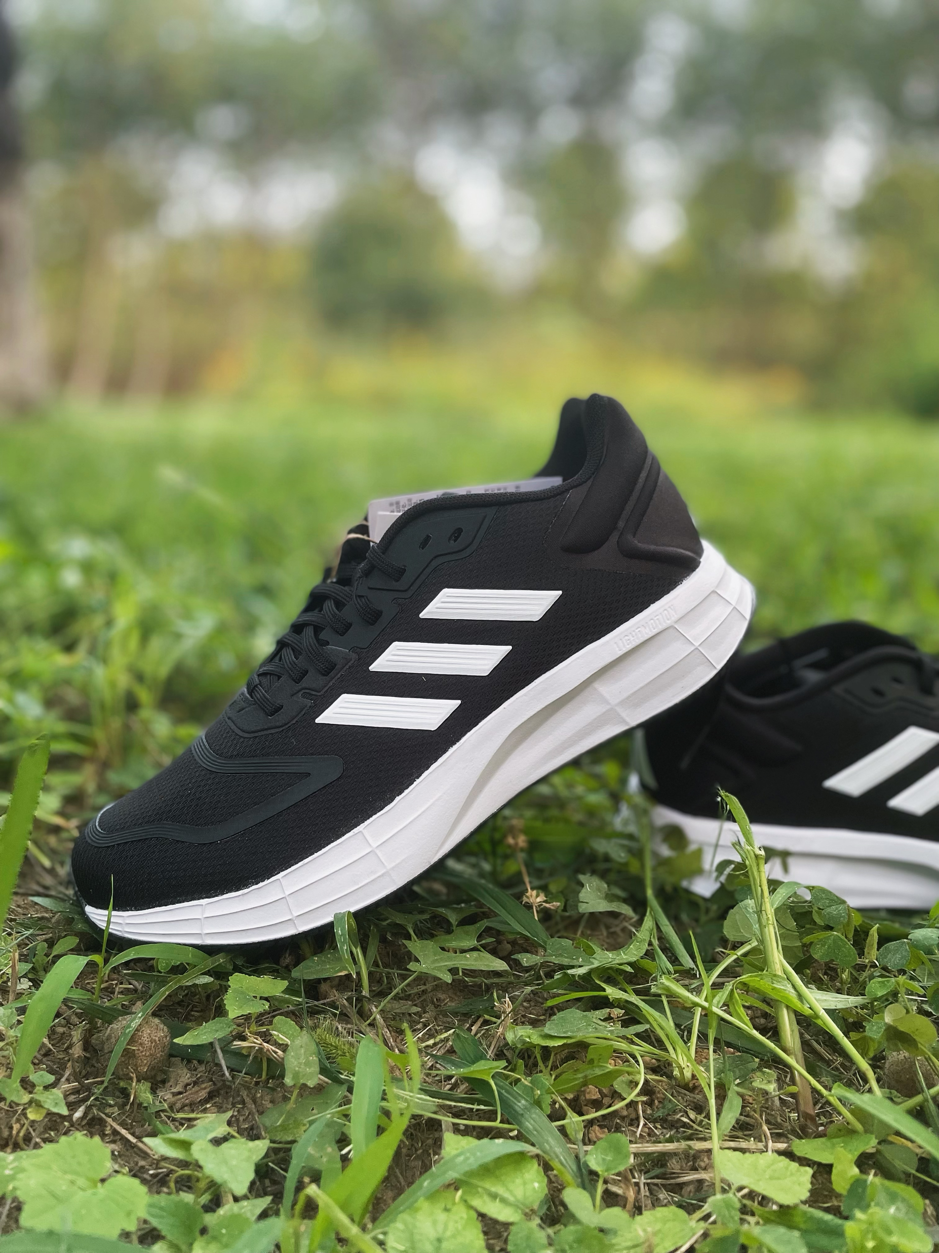 性价比为王道，基础款是永恒