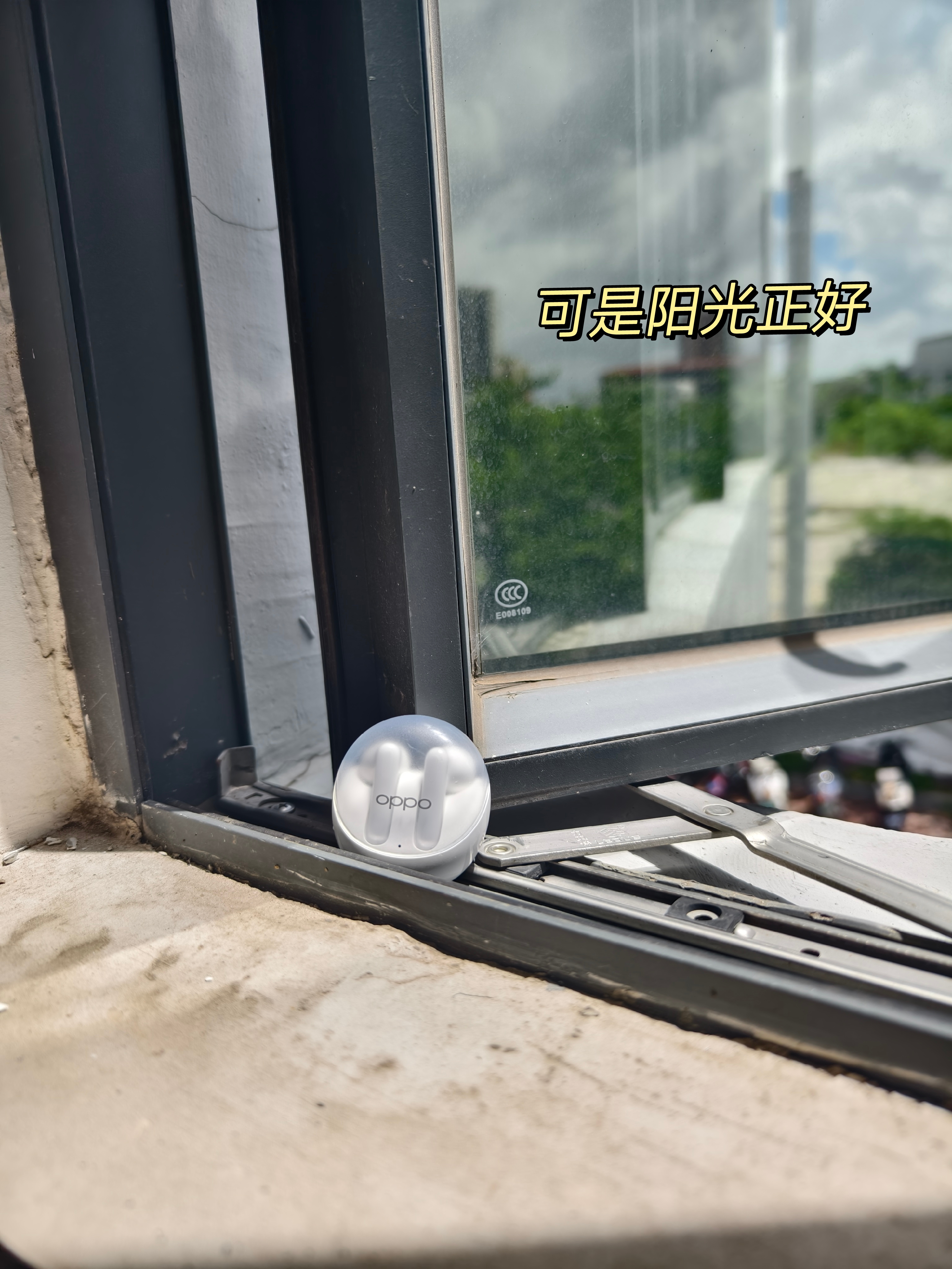 一个回眸遇见的它
