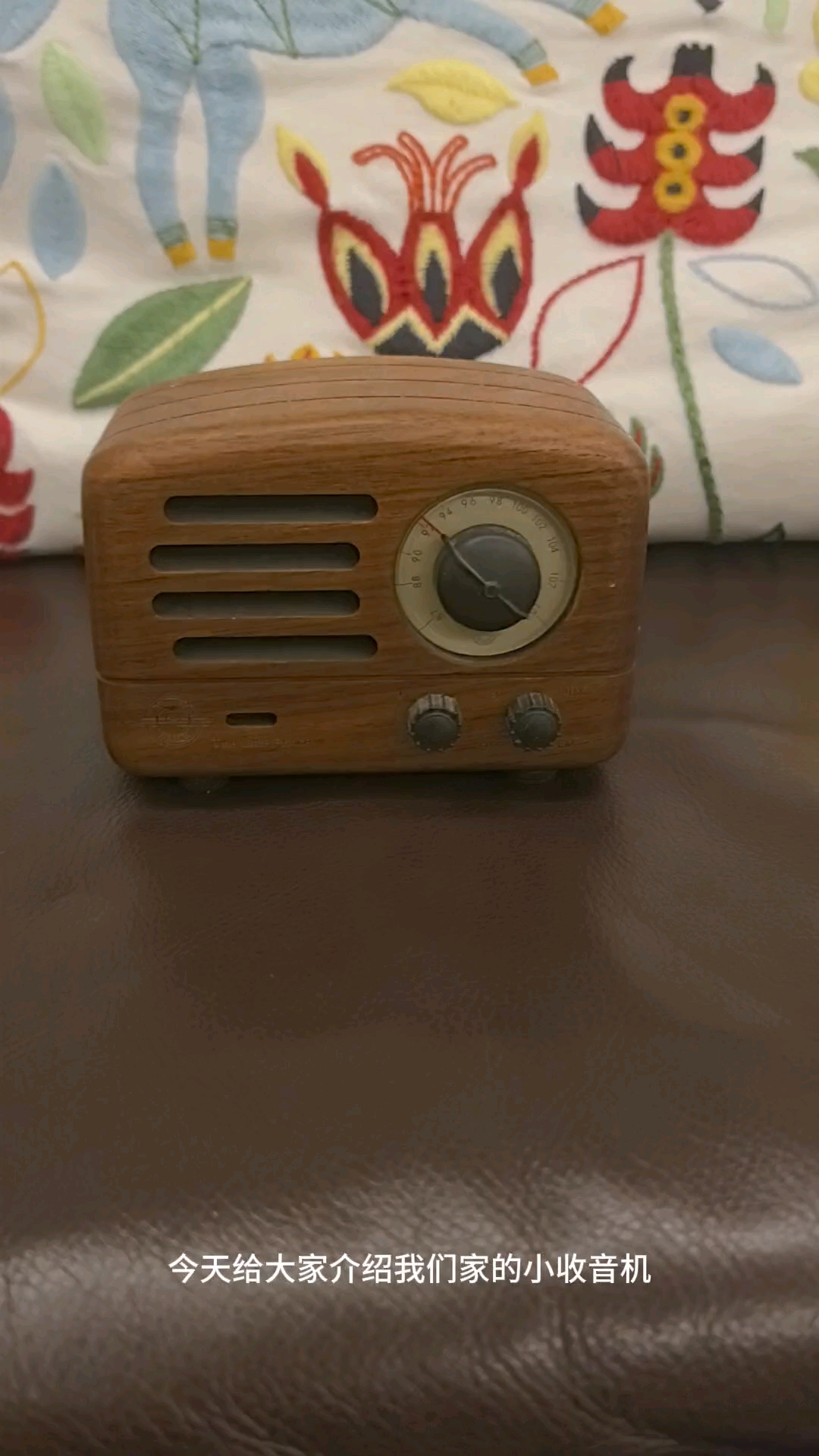 好物分享｜猫王音响📻