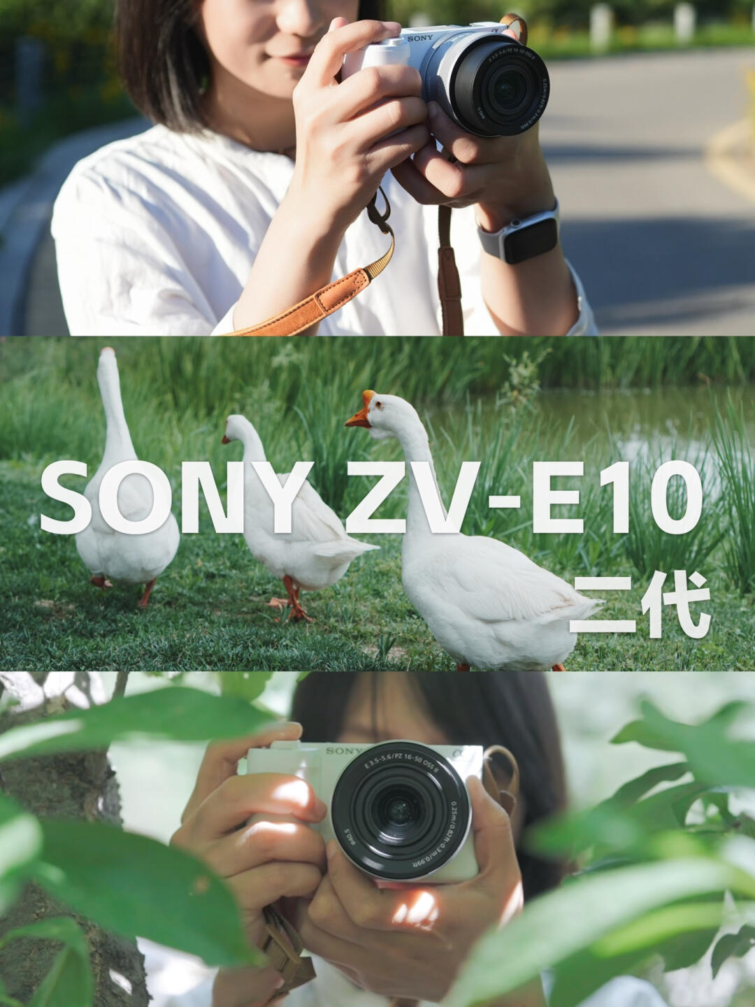 📷小相机真好用！ZV-E10M2上手实拍
