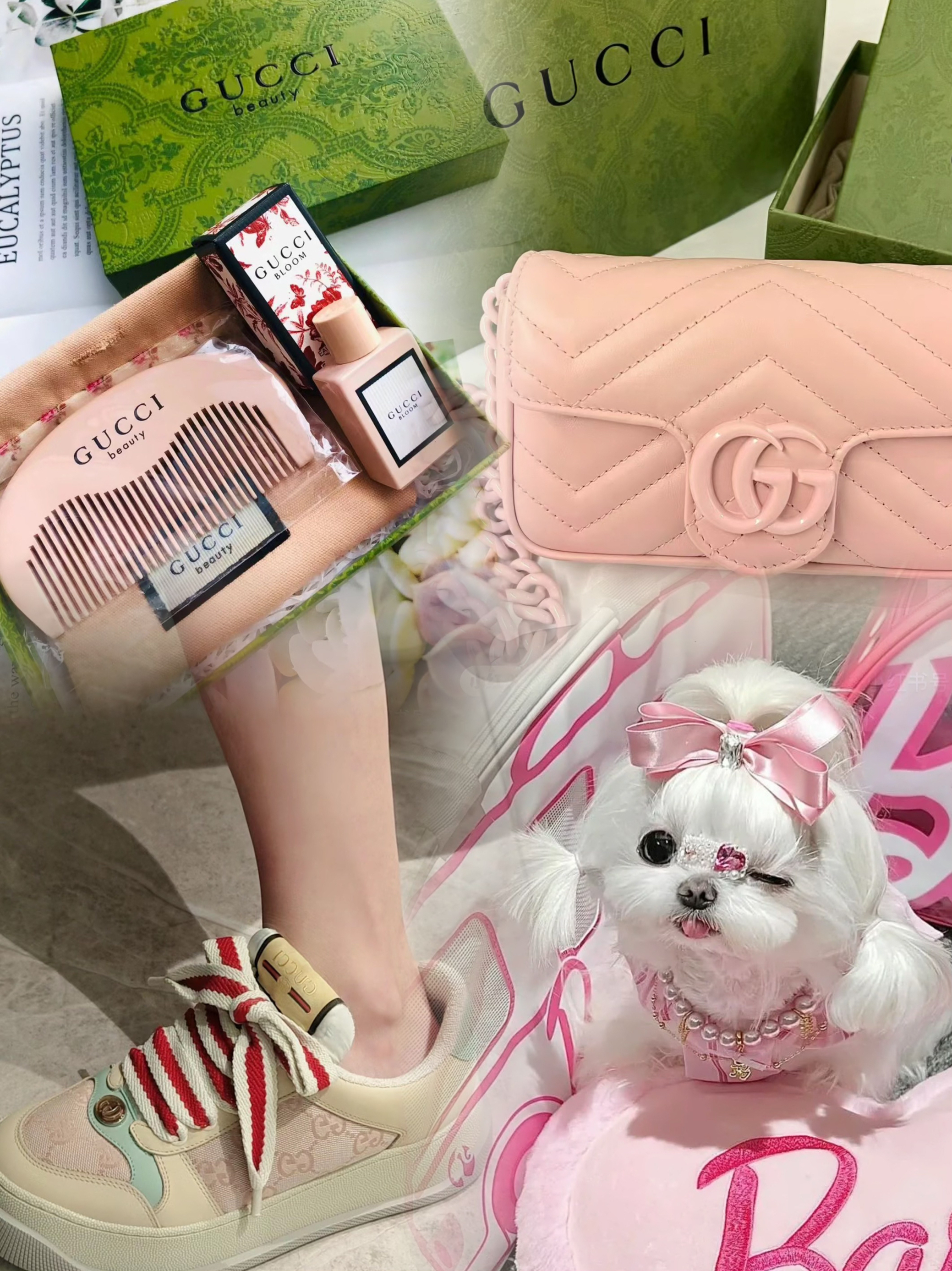 性感辣妹的 Gucci 好物测评🎀Plog