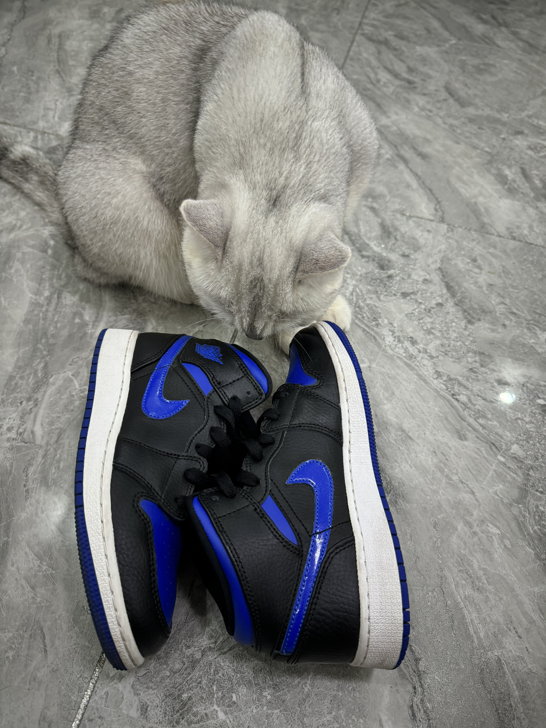 谁还没有一双Aj1