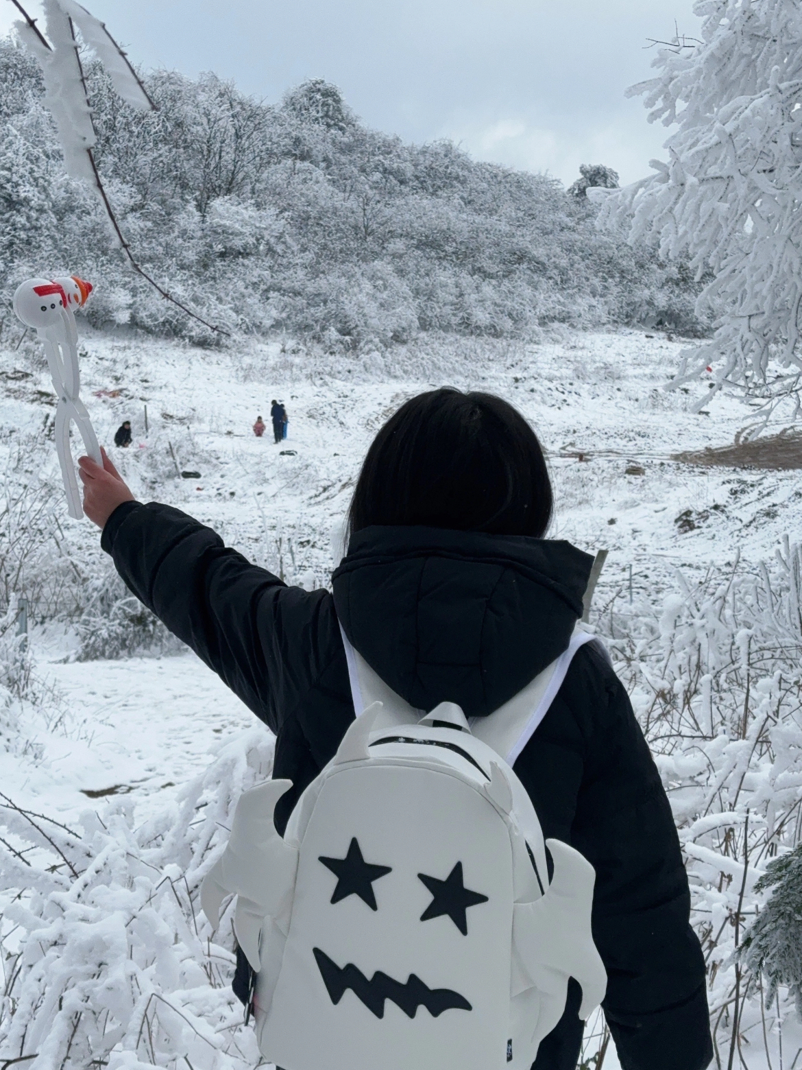 小众平价款双肩包，爱了呀！