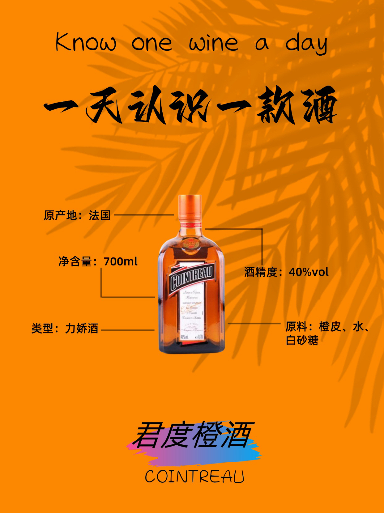 一天认识一款酒