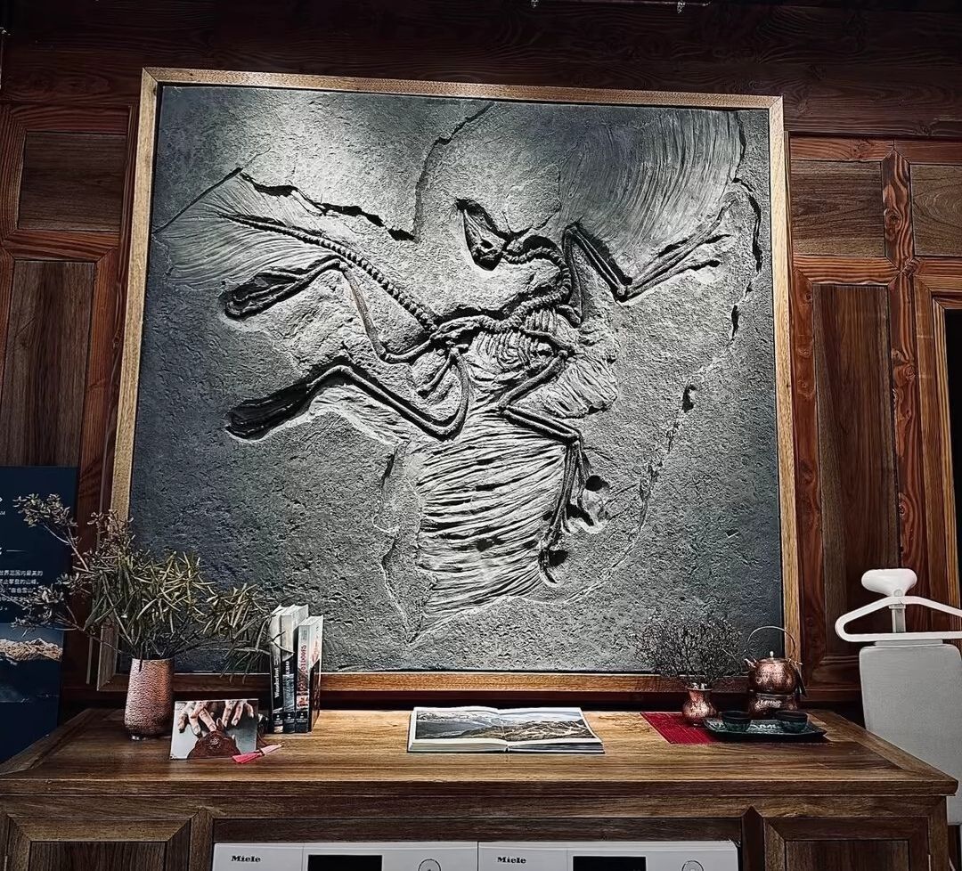ARCTERYX