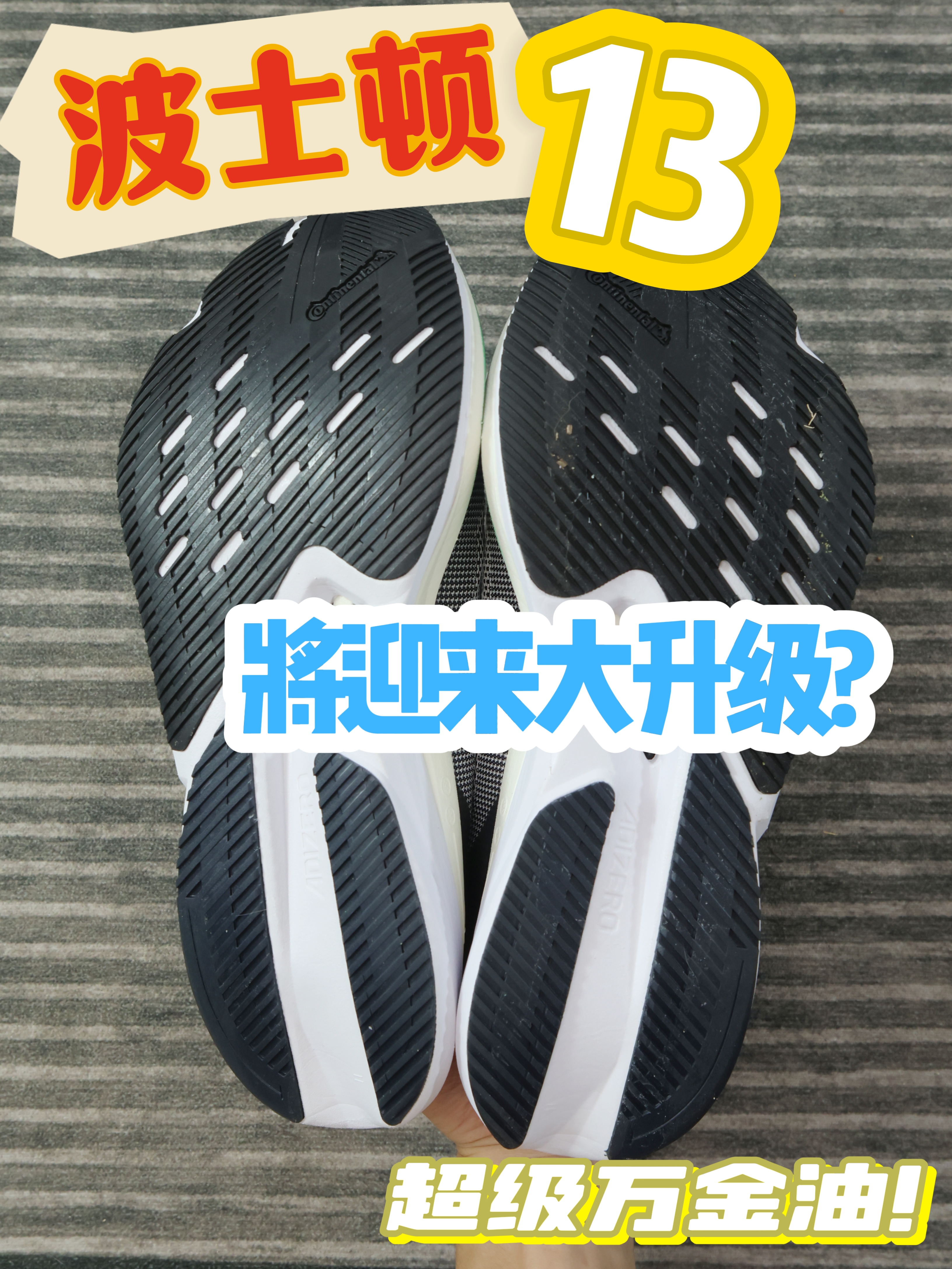全员EVO化？| 波士顿13是否值得等待？