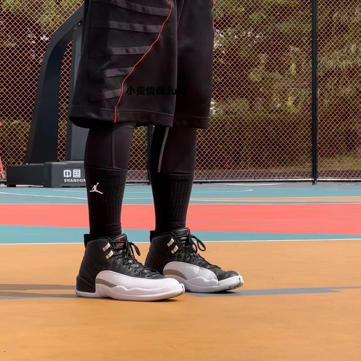 Air Jordan 12 "PlayOffs"