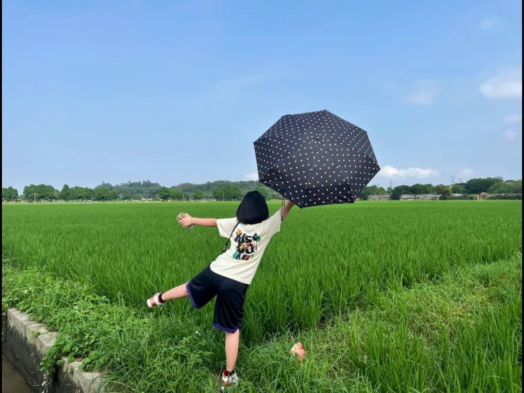 💥爆款来袭！速来围观！🔥