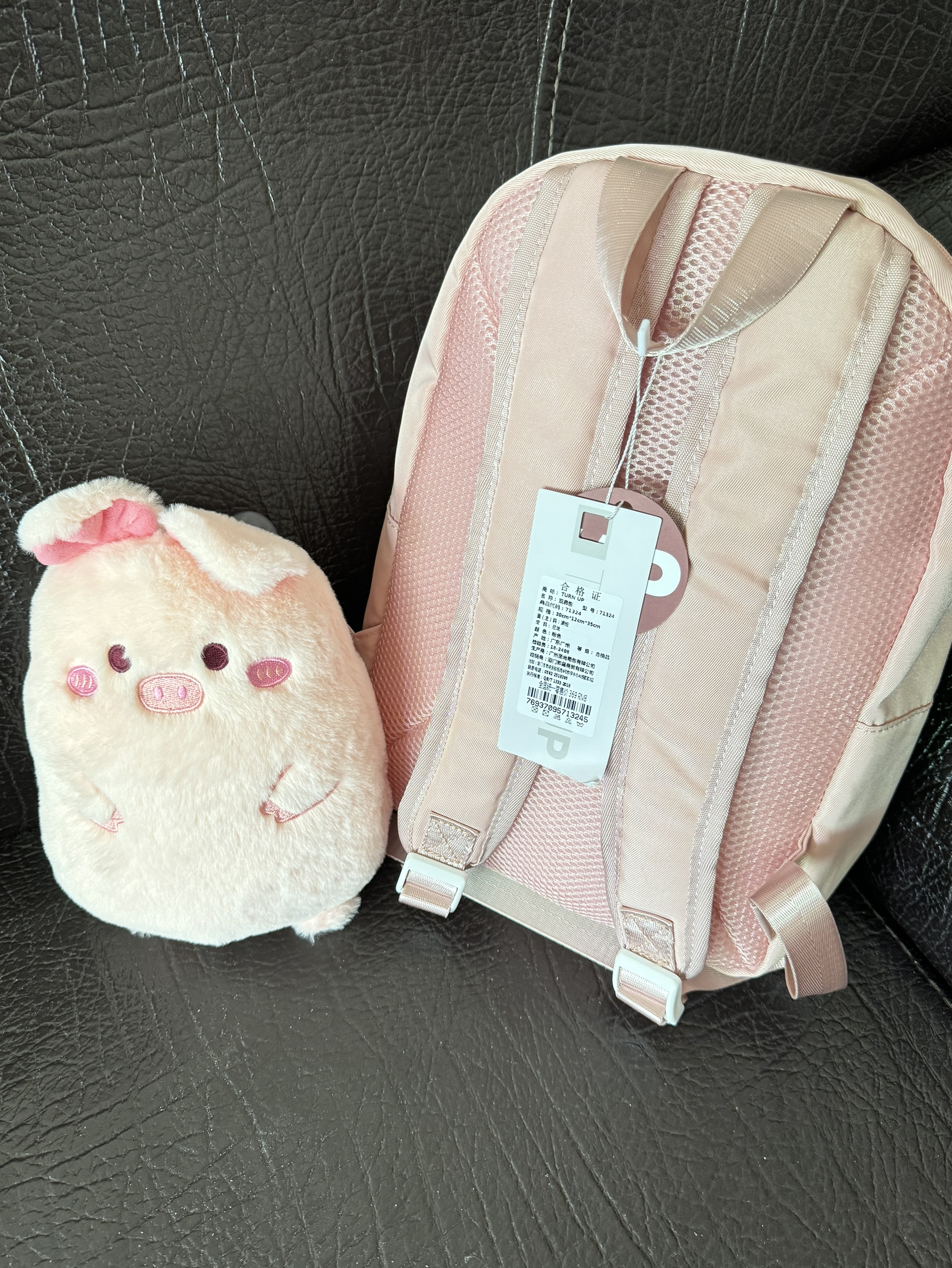 小学生背泰幼稚，我这个大学生背刚刚好