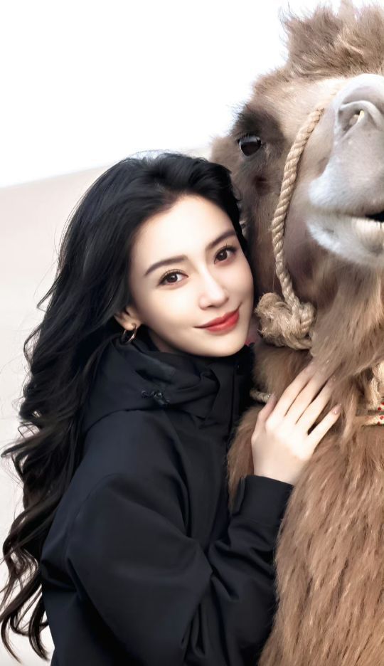 杨颖同款的骆驼冲锋衣!