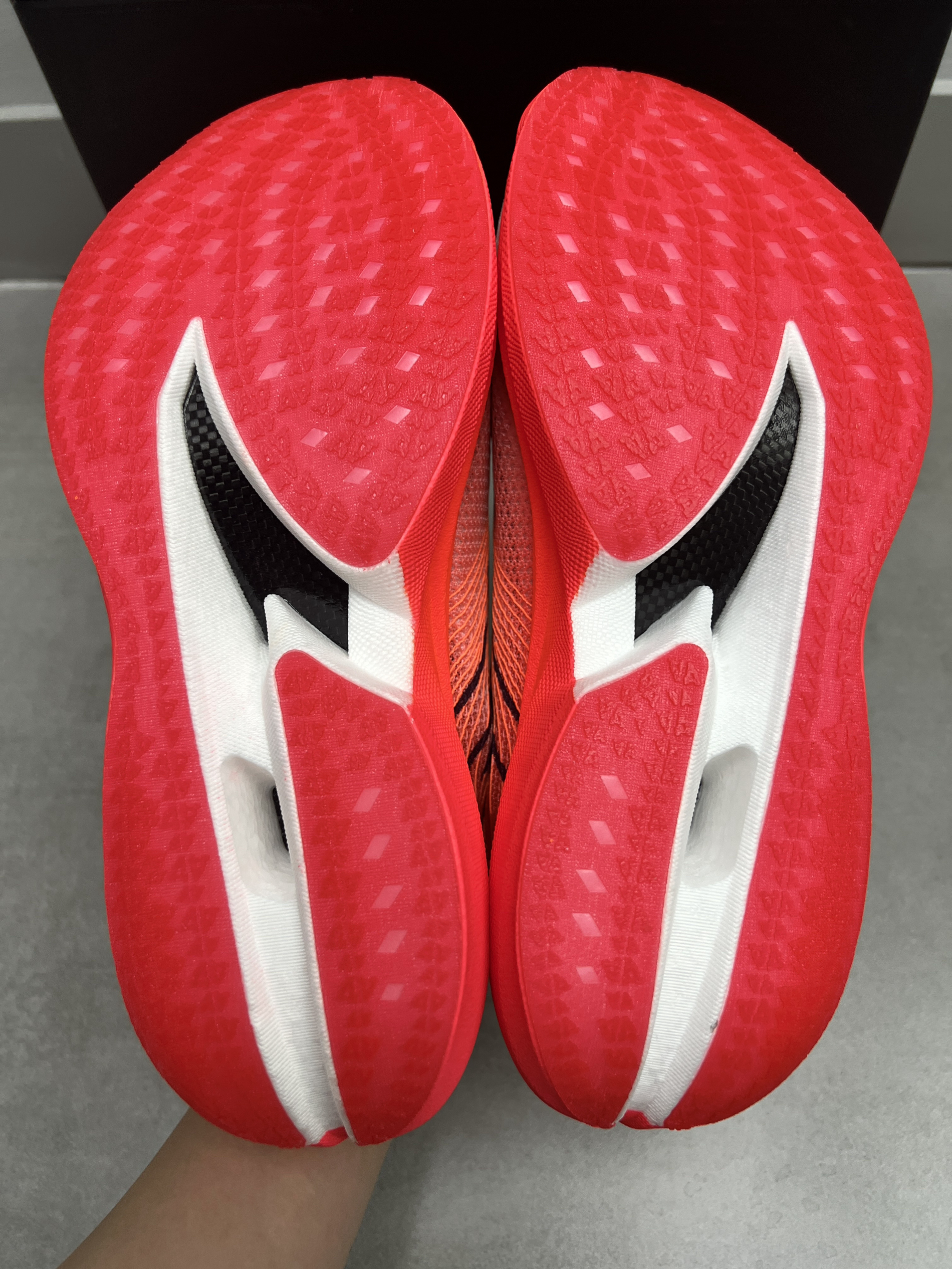 来看看我的跑马搭子👏👏👏