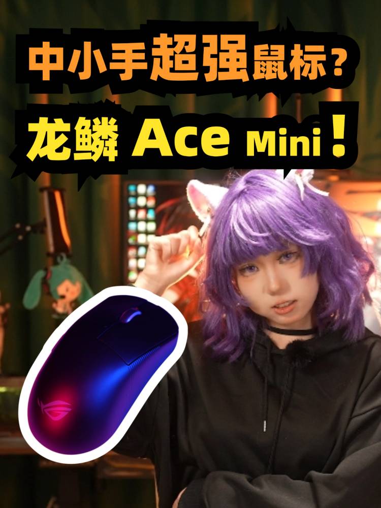 [次元搞机所]中小手超强鼠标？龙鳞Ace Mini上手测评