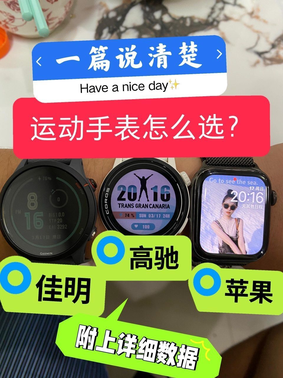 最后我还是选了佳明