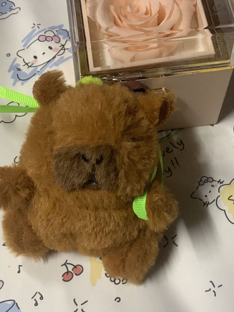 现喜欢卡皮巴拉的人能坏到哪里去呢！