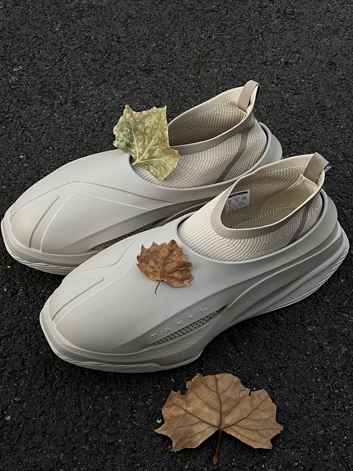 OO TD- TAYKI家的秋🍂懒人一脚蹬👟！