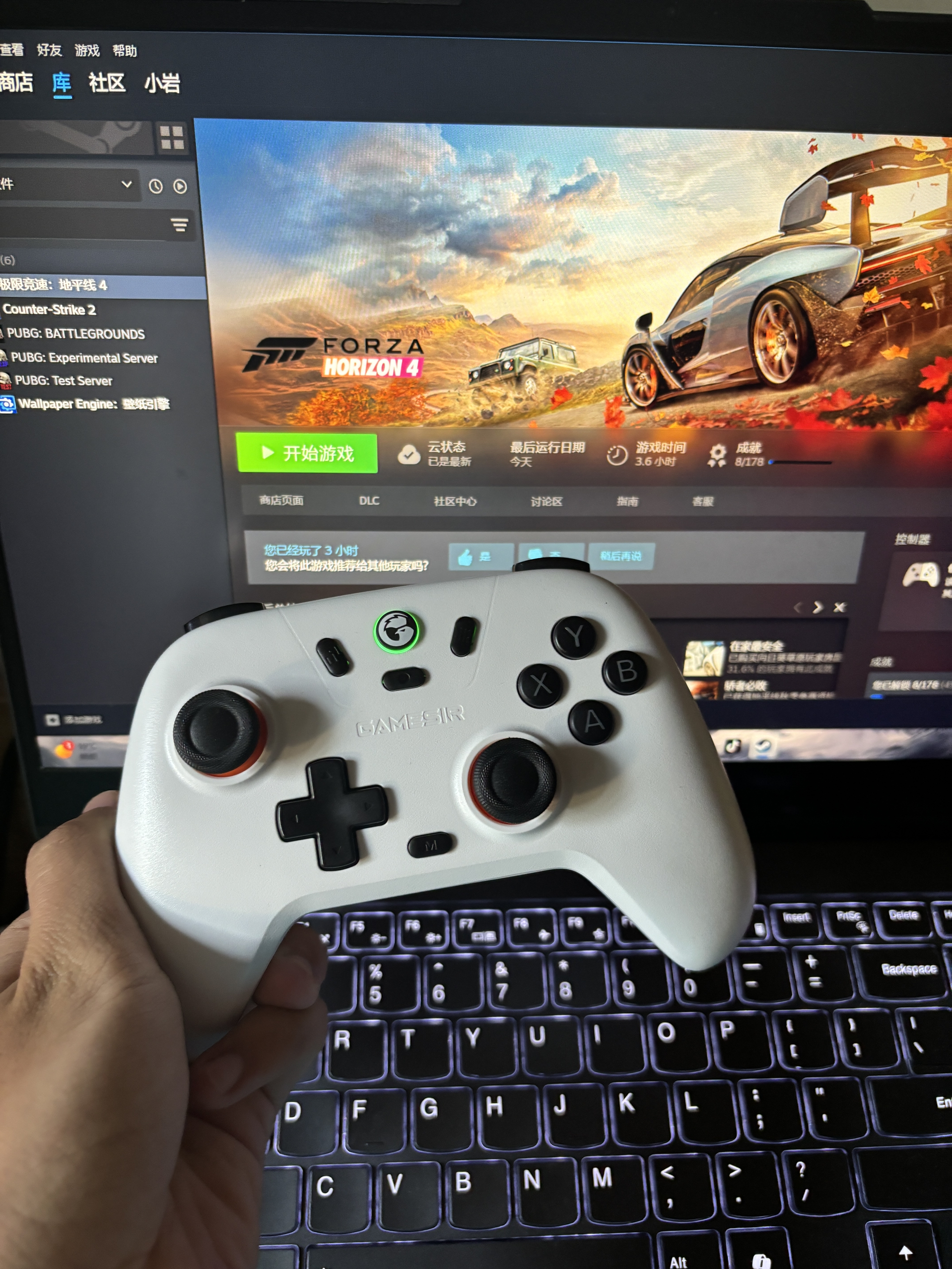 盖世小鸡手柄🎮