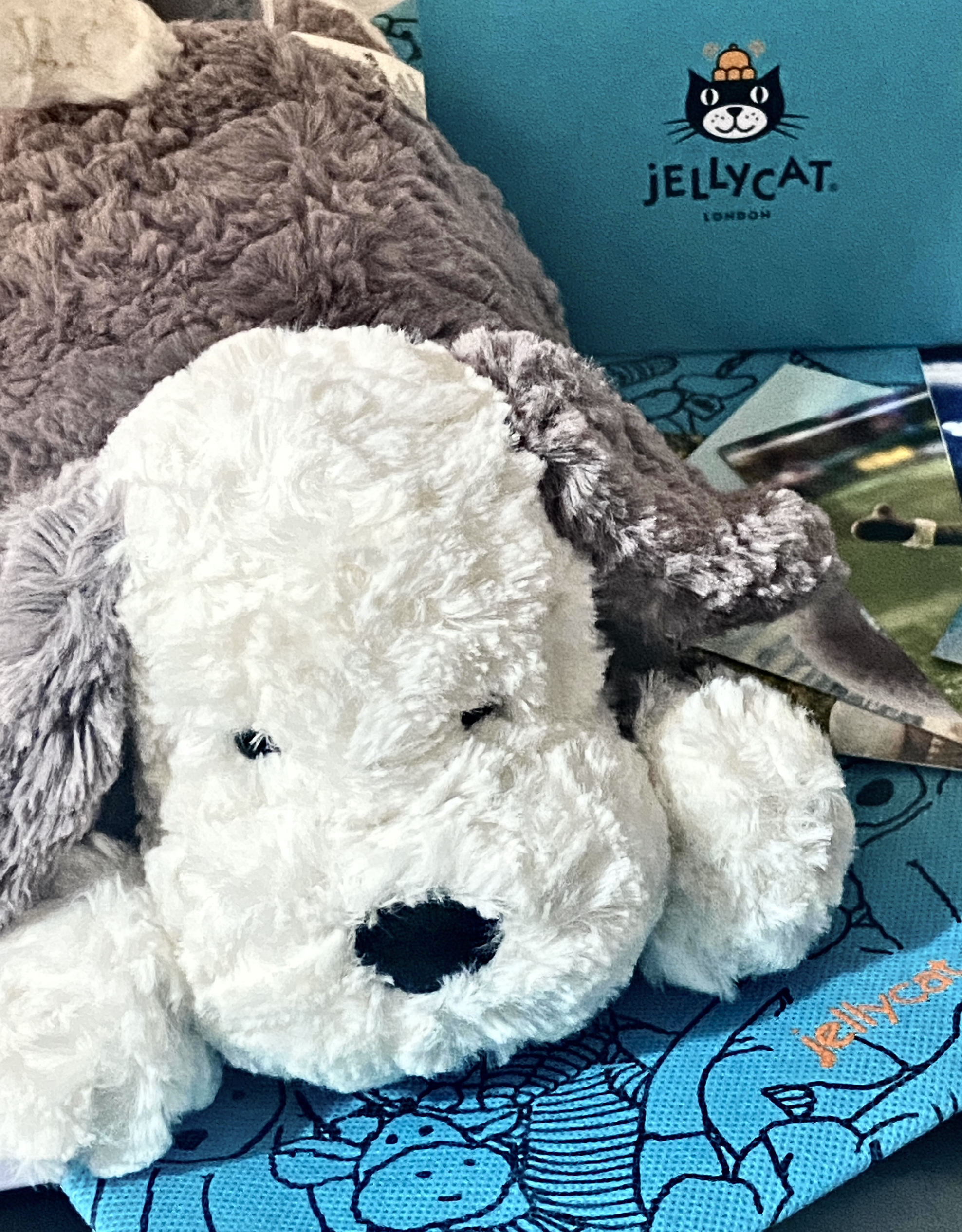 拥有了第一只JELLYCAT！