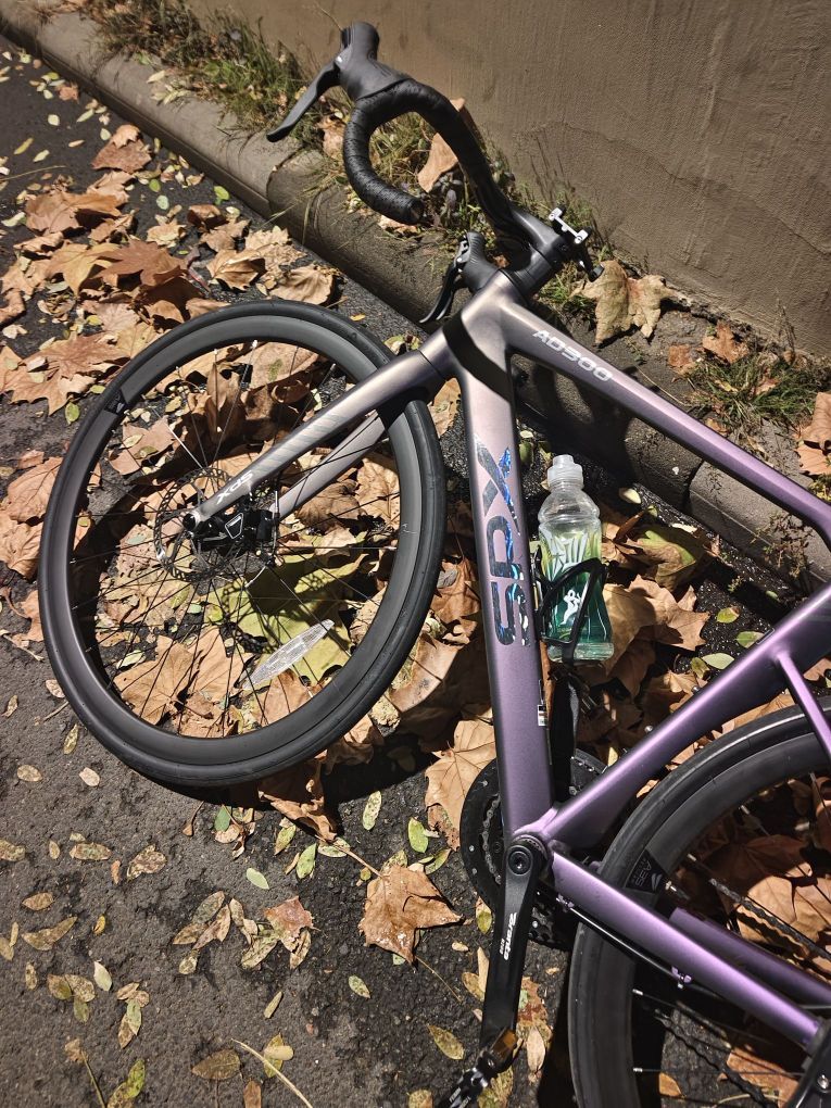 我愿称之为入门的神