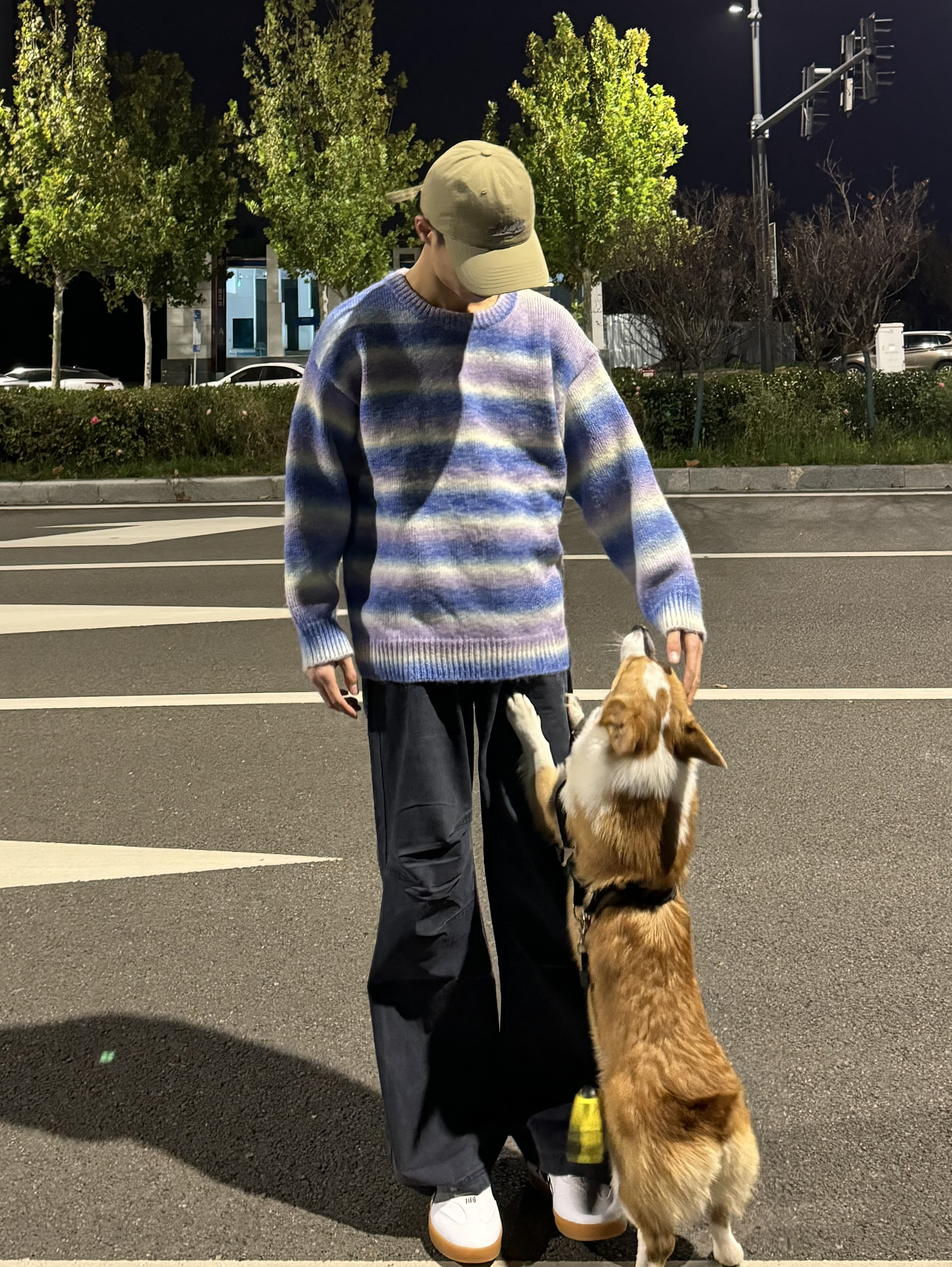 谁还不是在外假装坚强，回家变脆弱小狗