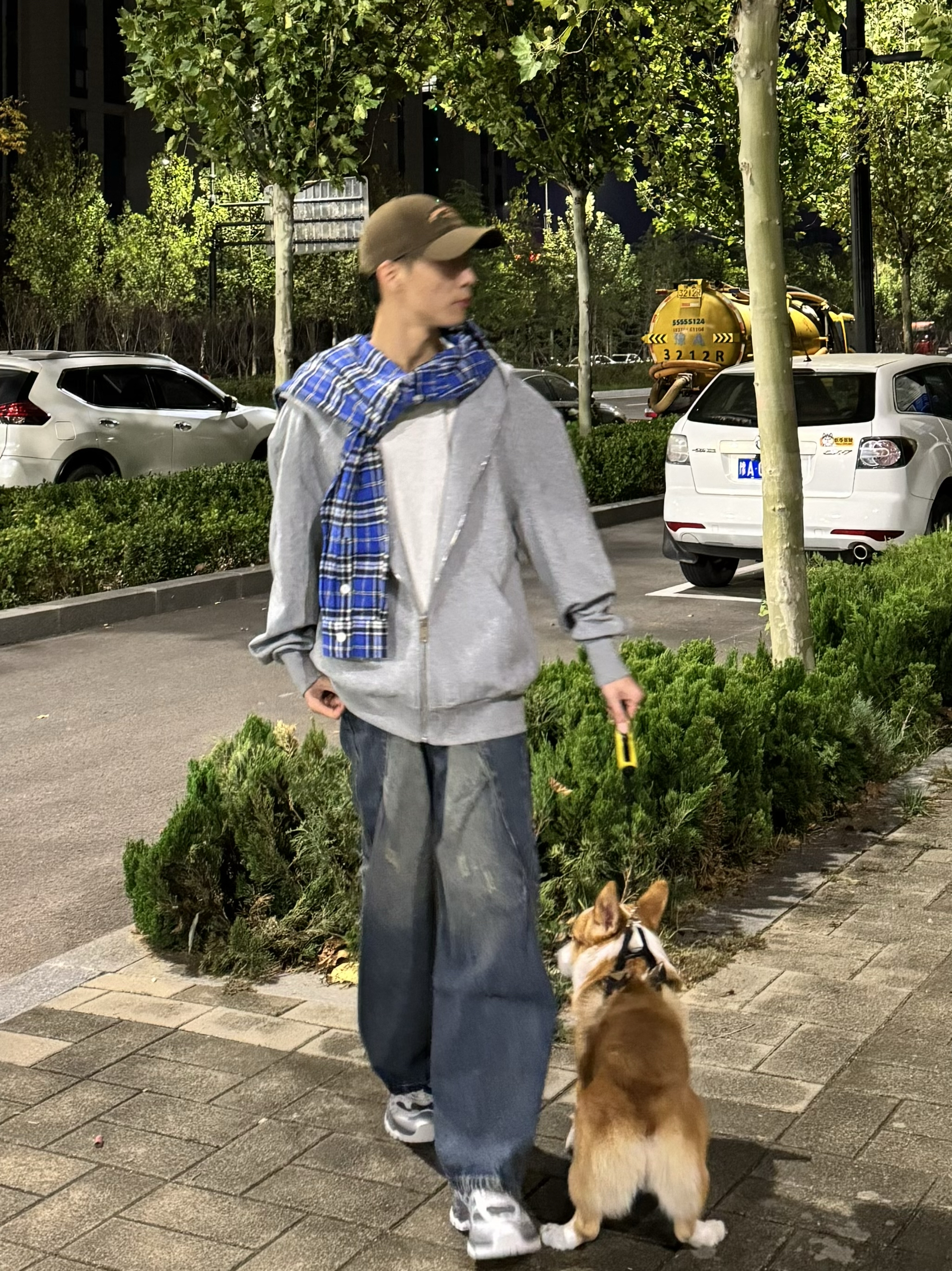 养粘人小狗的注意事项：要每天说爱它