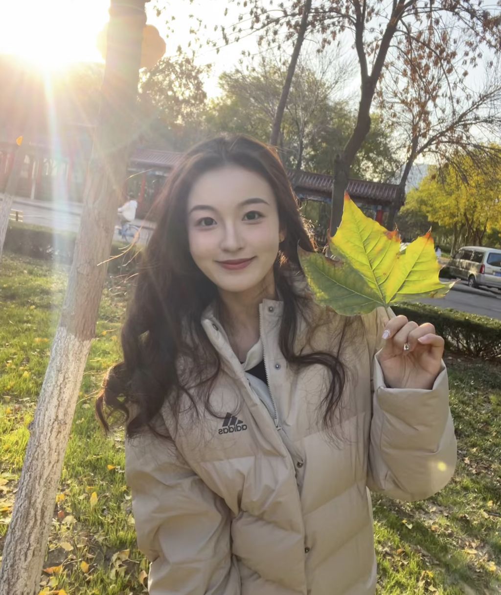 好看的阿迪羽绒服