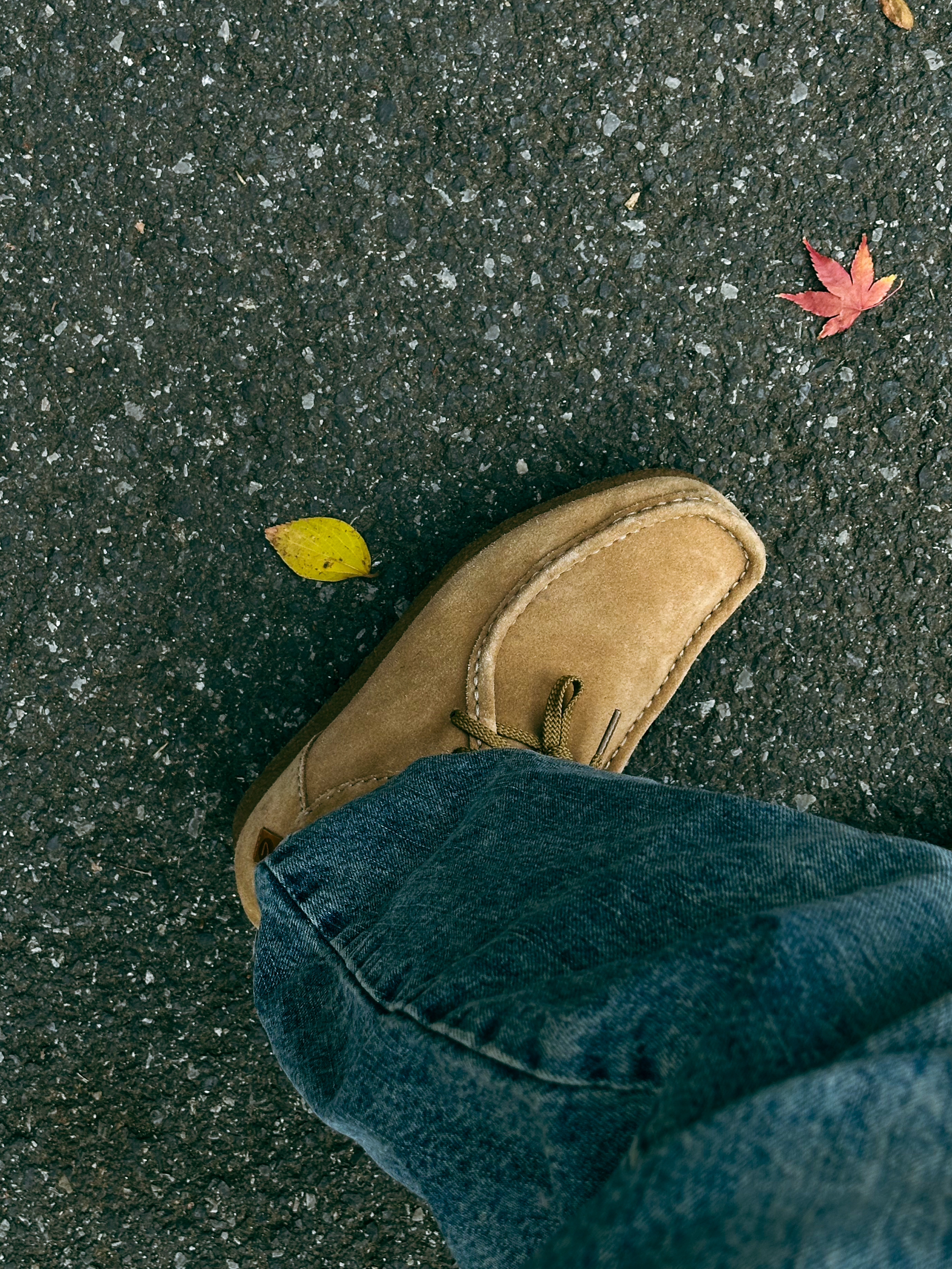 谁能拒绝袋鼠鞋