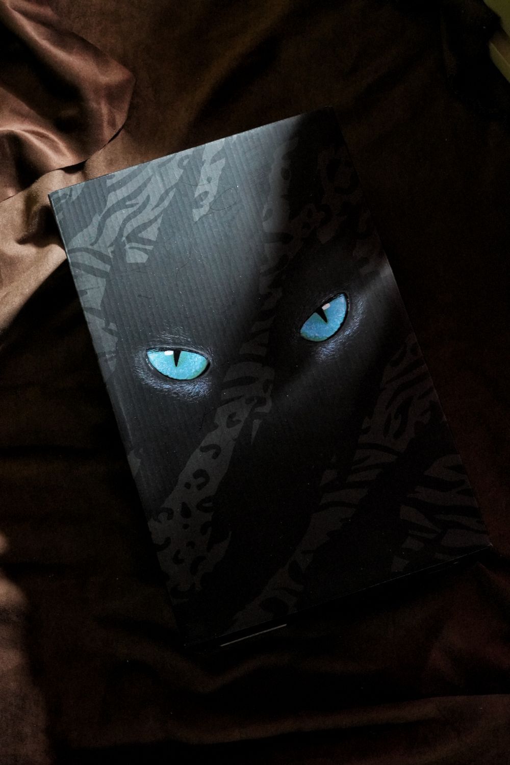 桀骜2代开箱！黑豹来袭👀，又帅又能打❓