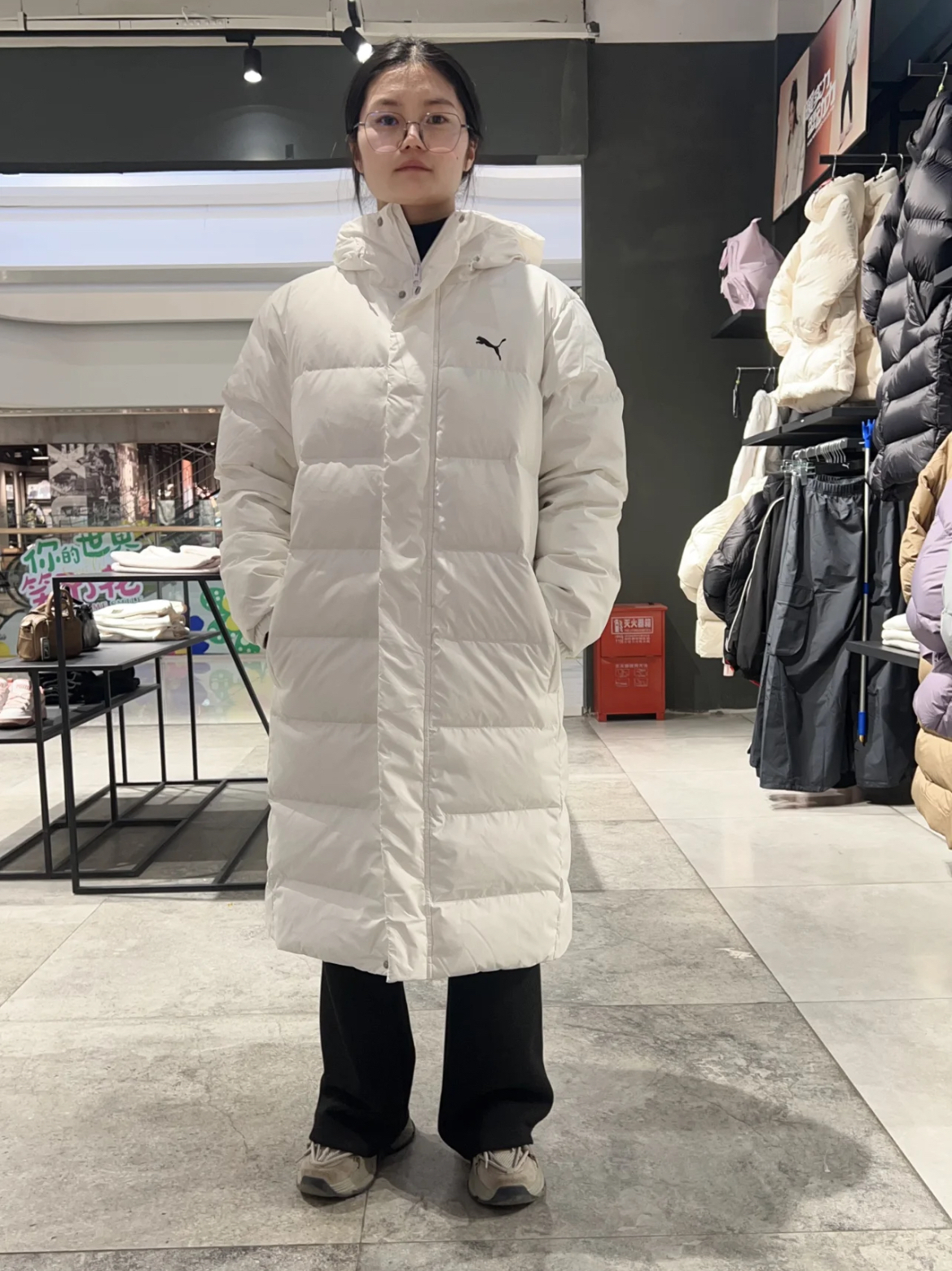 Puma 冬日里的小精灵