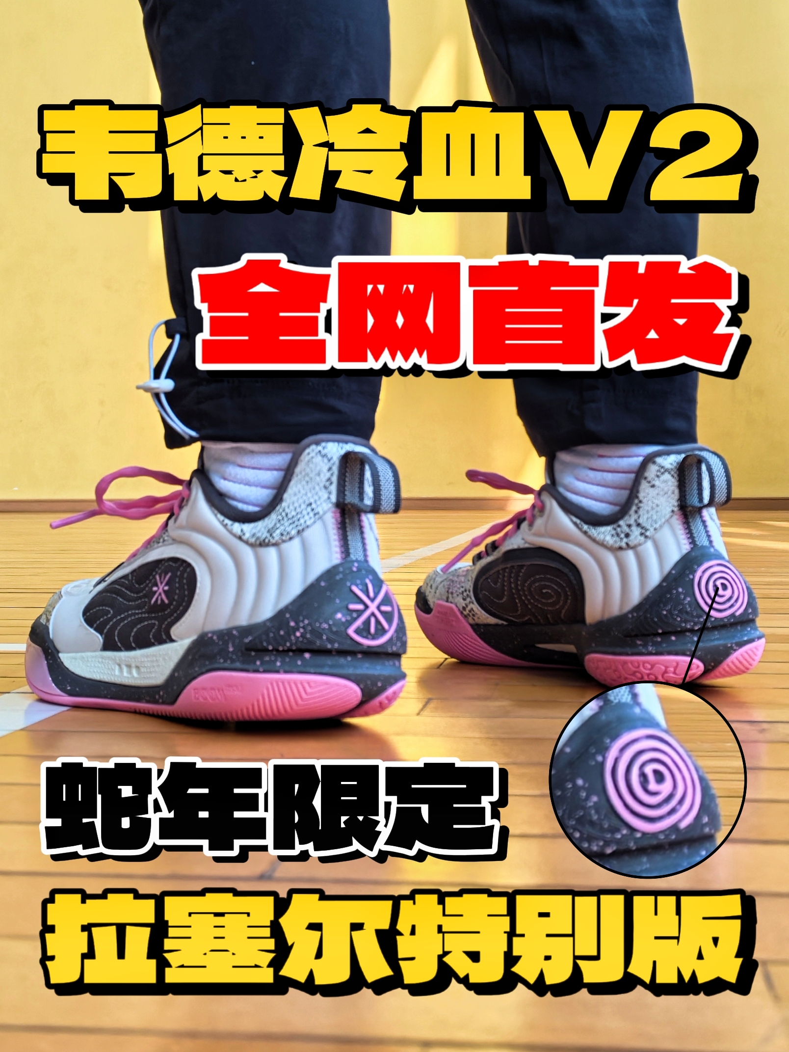 全网首发⁉️韦德冷血V2‼️这次能冲了吗❓
