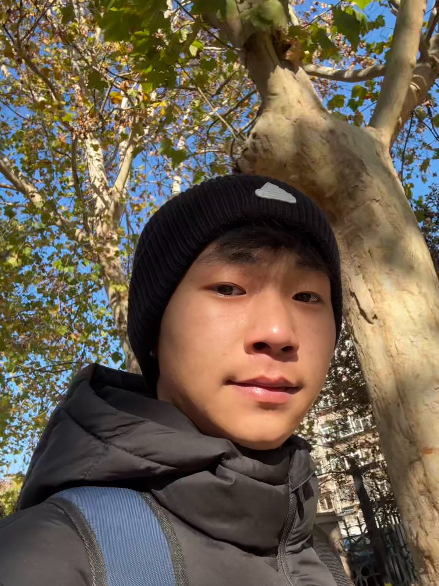 阿迪冷帽，超级酷，戴着很暖和，冬天不冻耳