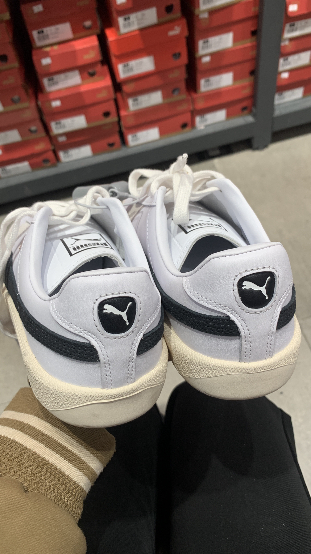 被puma德训硬控了三天❗️