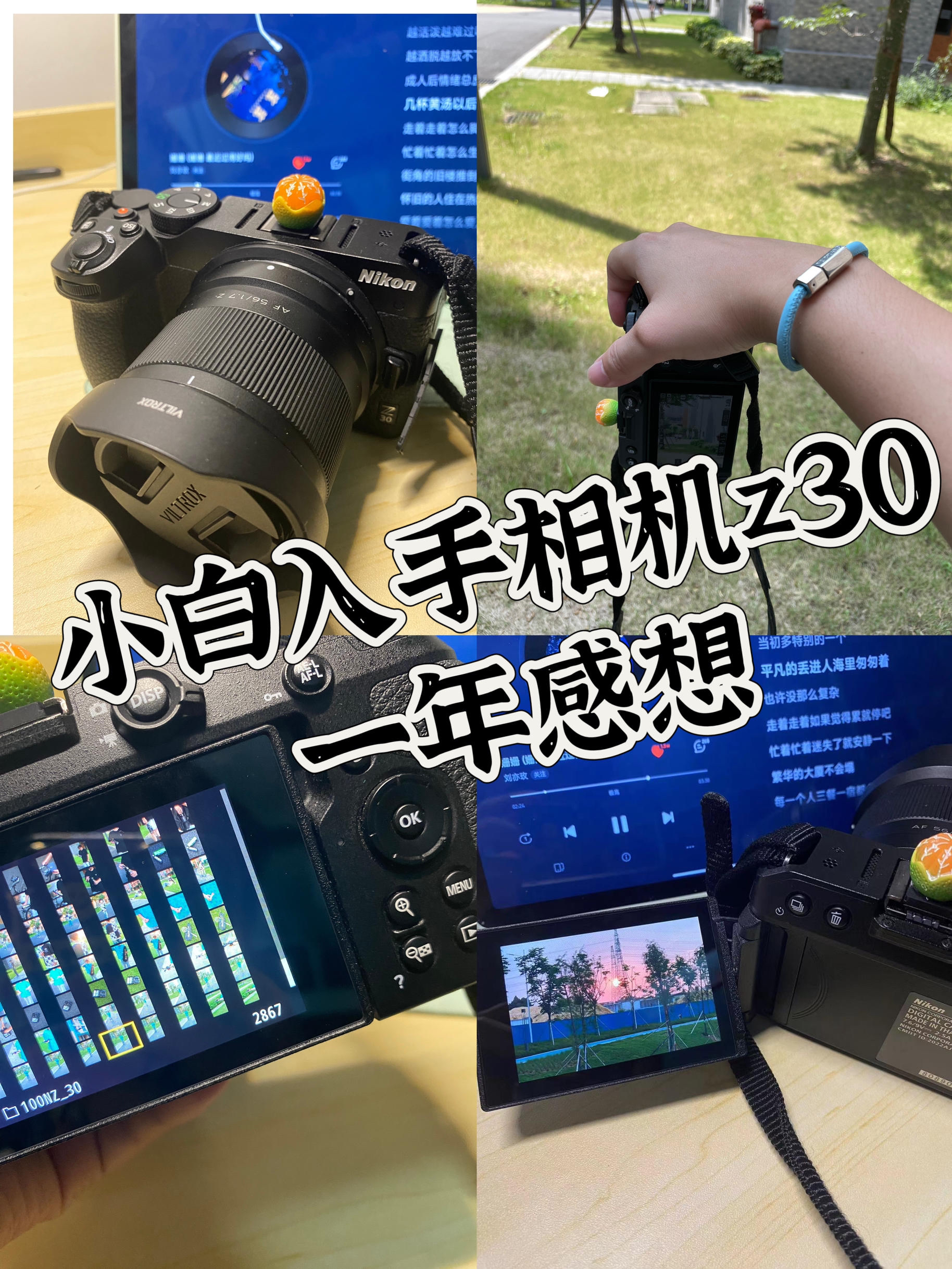 0基础接触尼康z30的一年📷