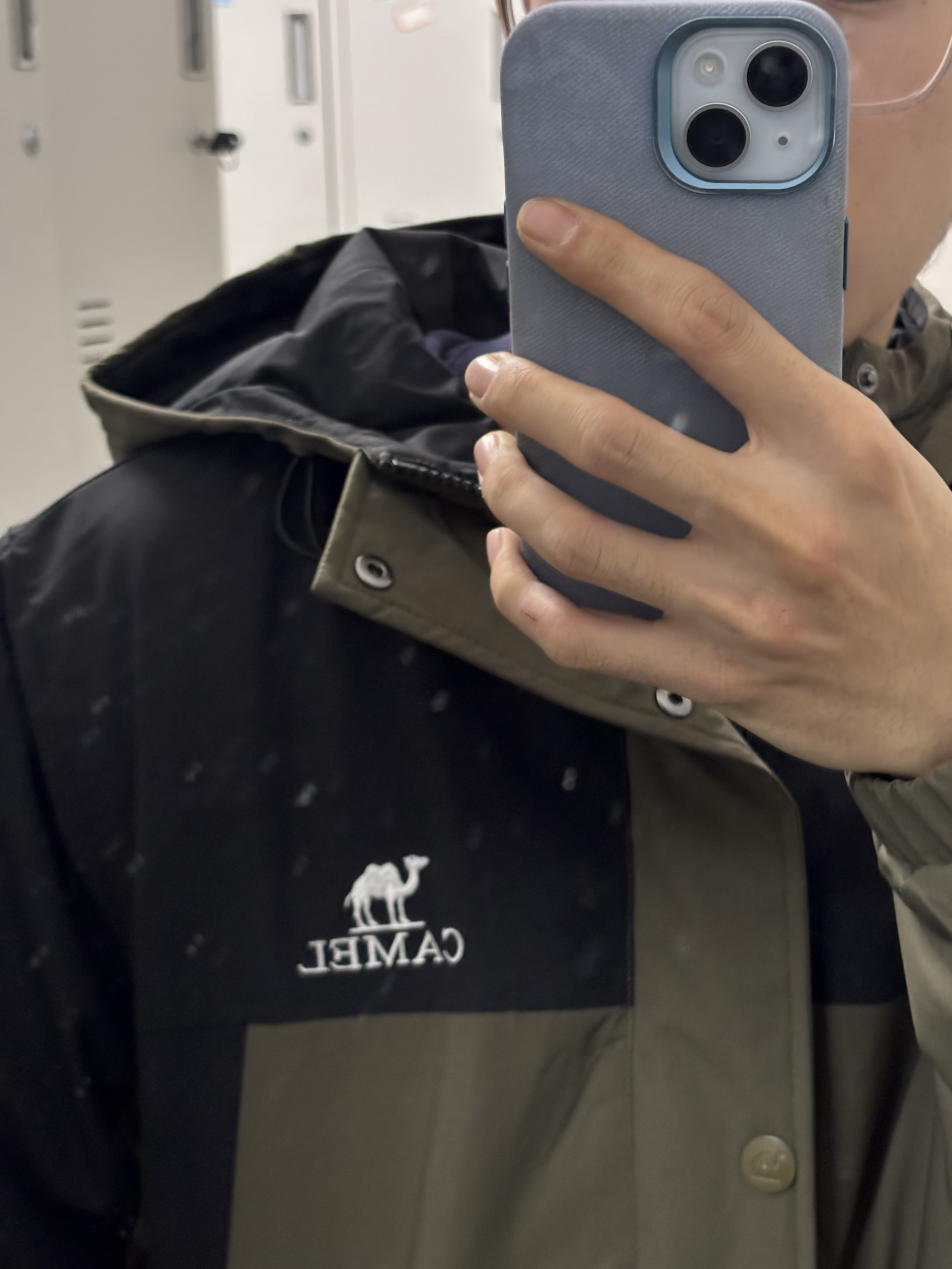 我宣布，骆驼这波赢麻了！
